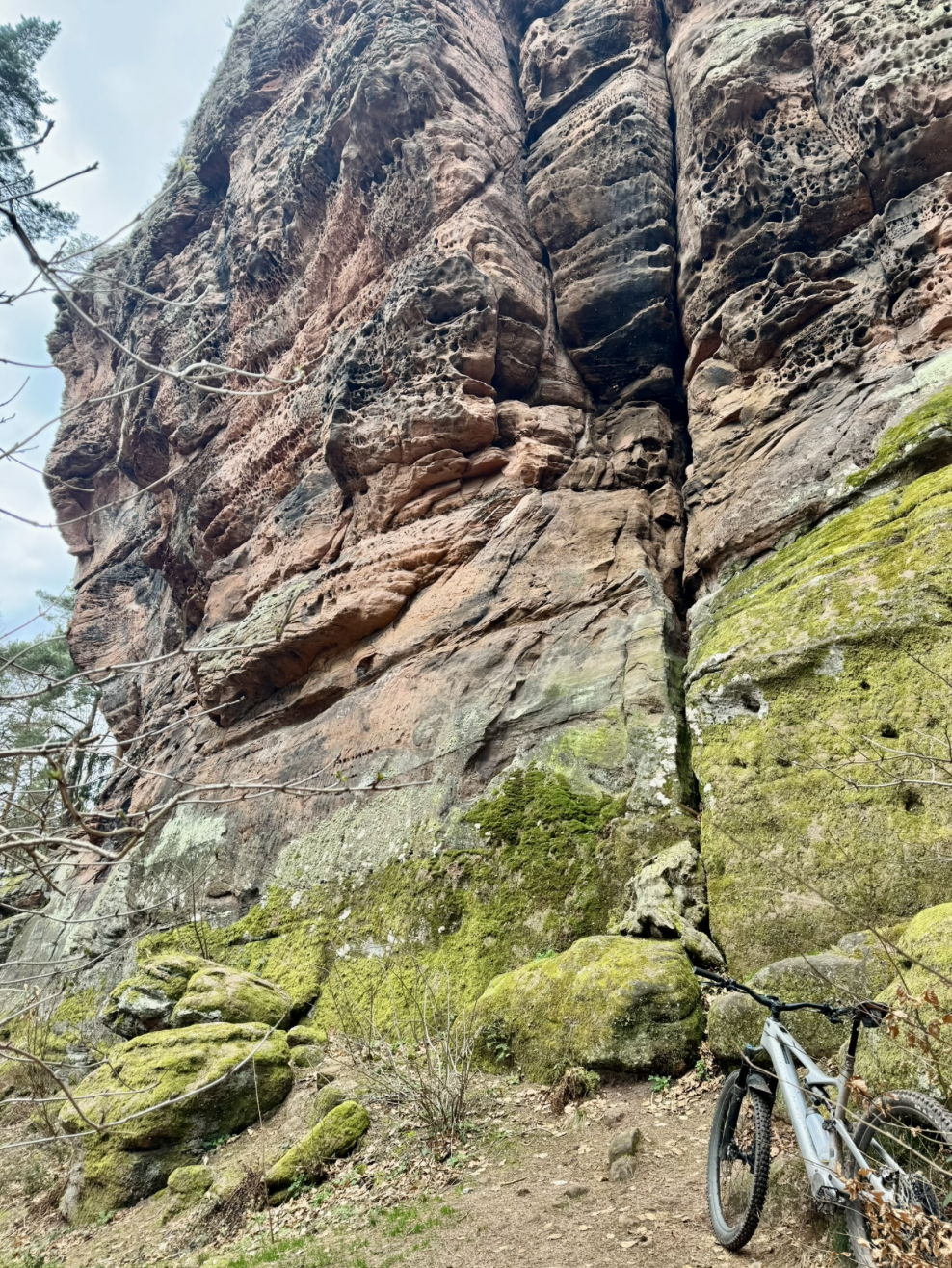 Bildschirmfoto 2026-03-02 um 11.19.46.png