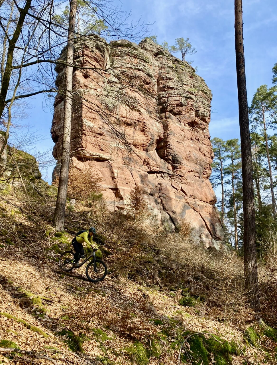 Bildschirmfoto 2026-03-02 um 11.20.00.png