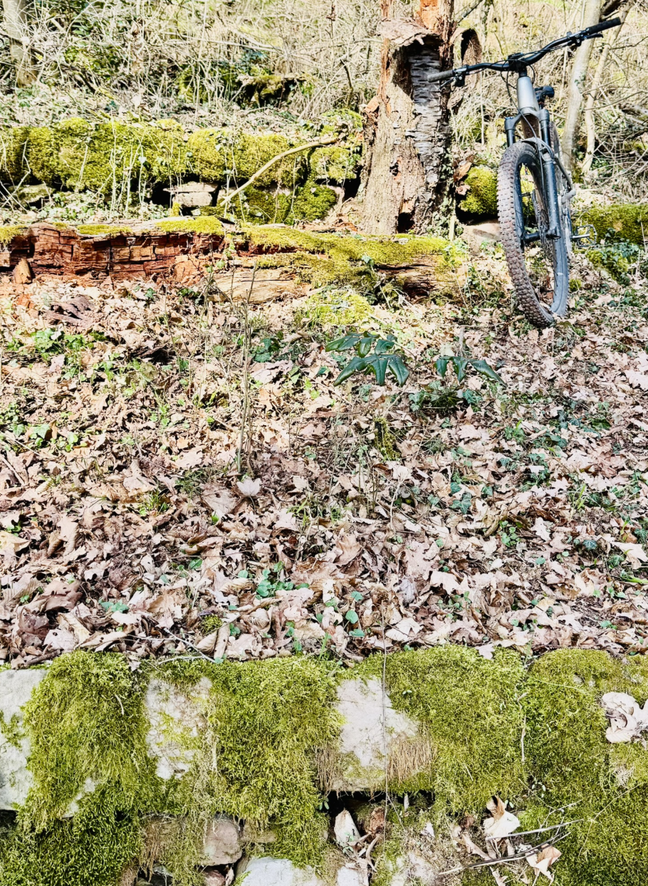 Bildschirmfoto 2026-03-06 um 17.01.34.png