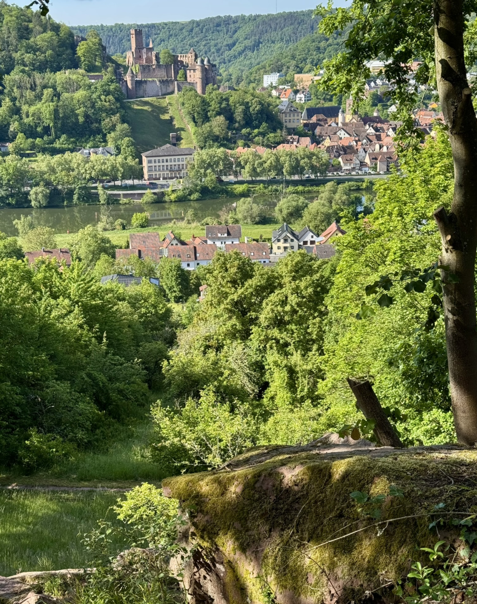 Bildschirmfoto 2026-05-20 um 07.14.29.png