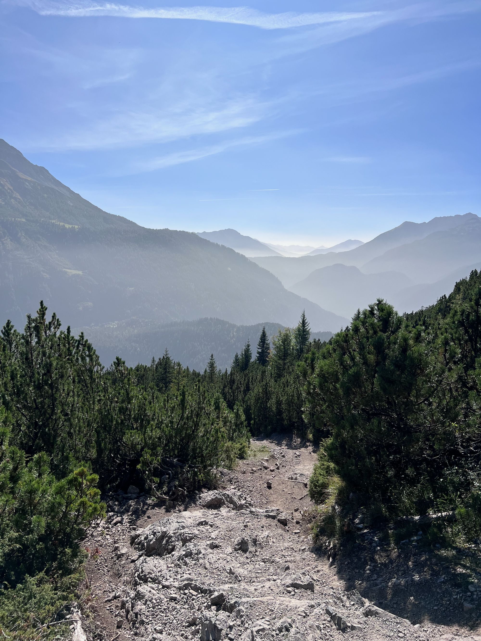 Blindsee - 1 (2).jpeg