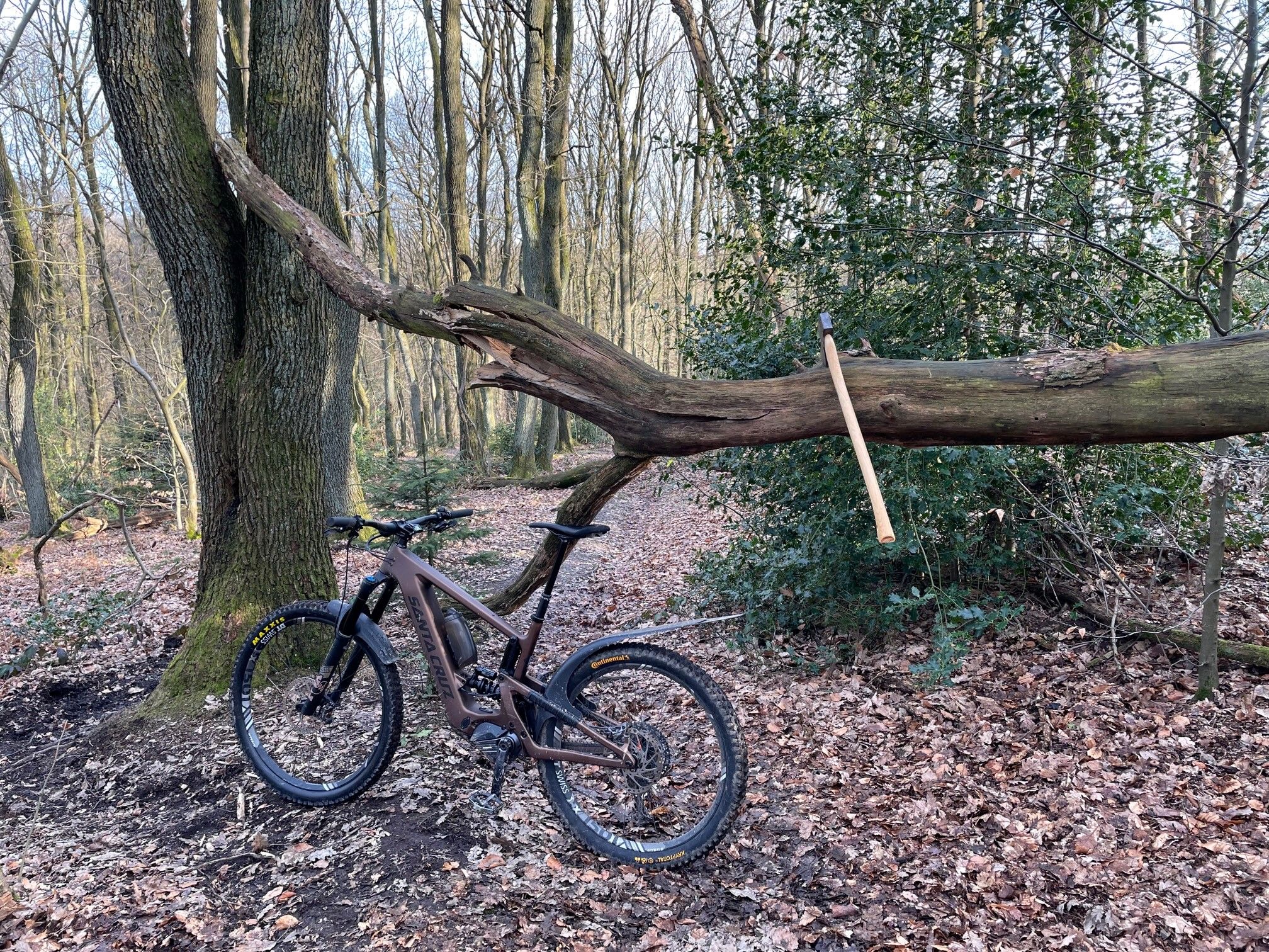 Bullit am Baum mit Axt.jpg