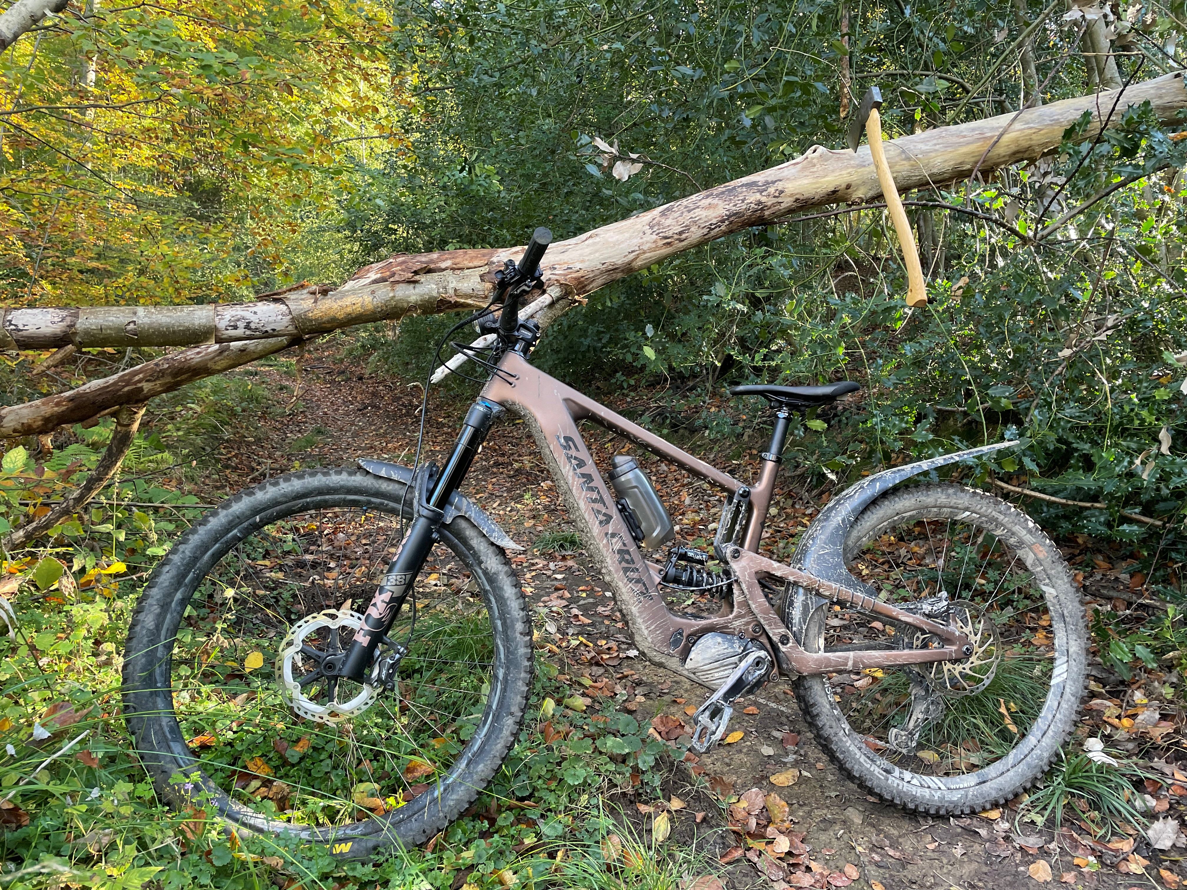Bullit mit Axt im Stamm.jpg