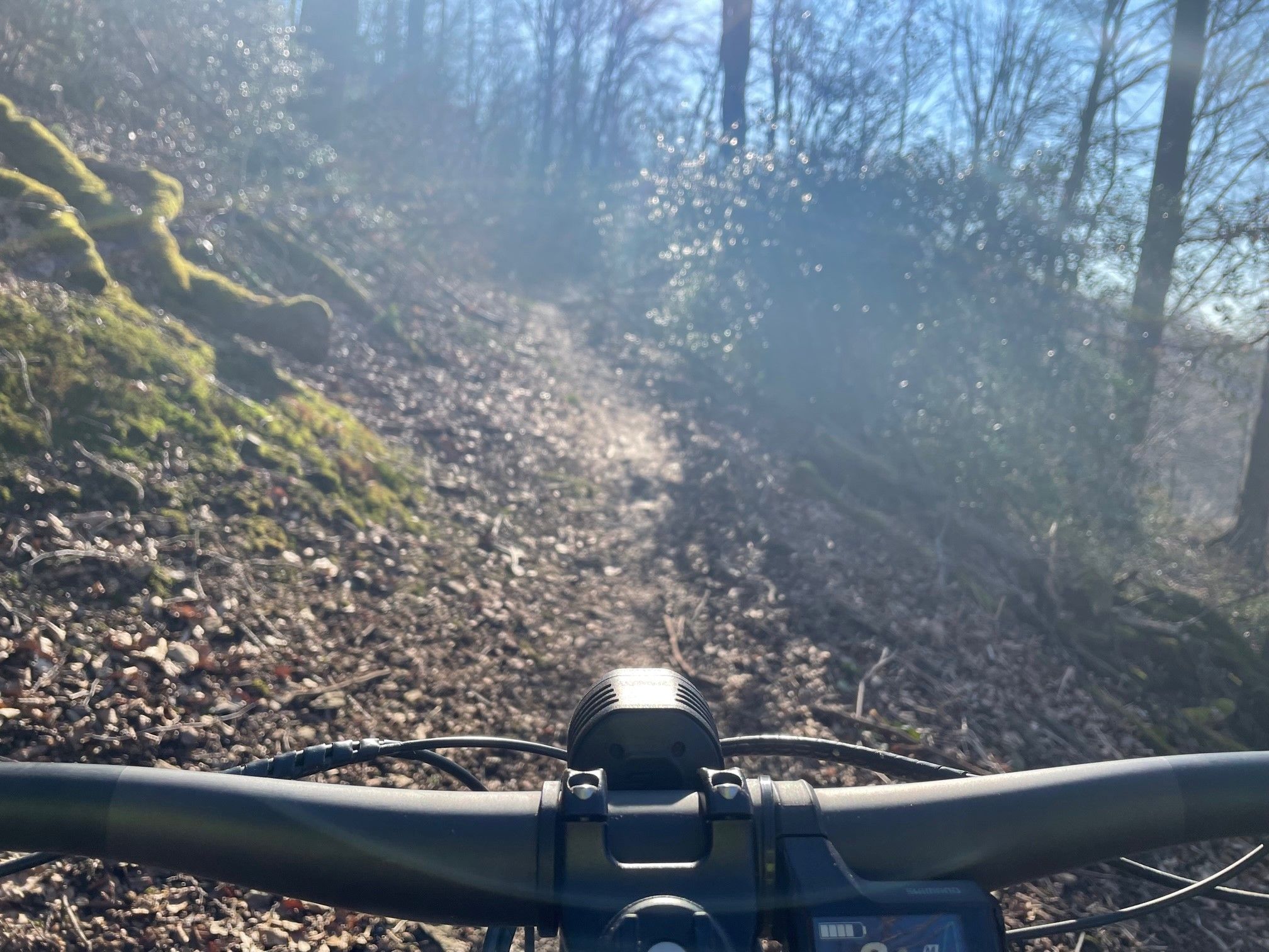 Bullit on Trail 1.jpg