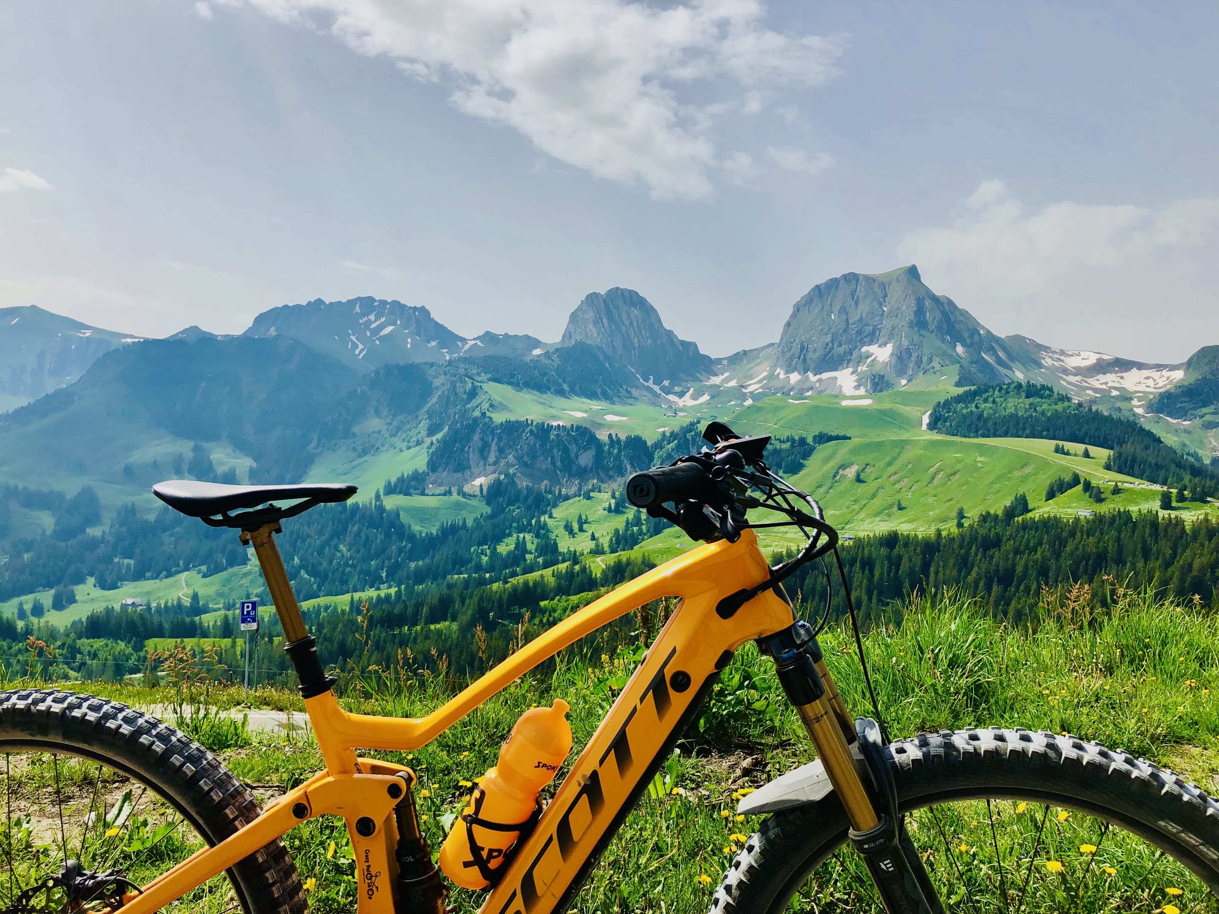 C59B26DE-069E-401E-AF85-FA685BD93168.jpeg