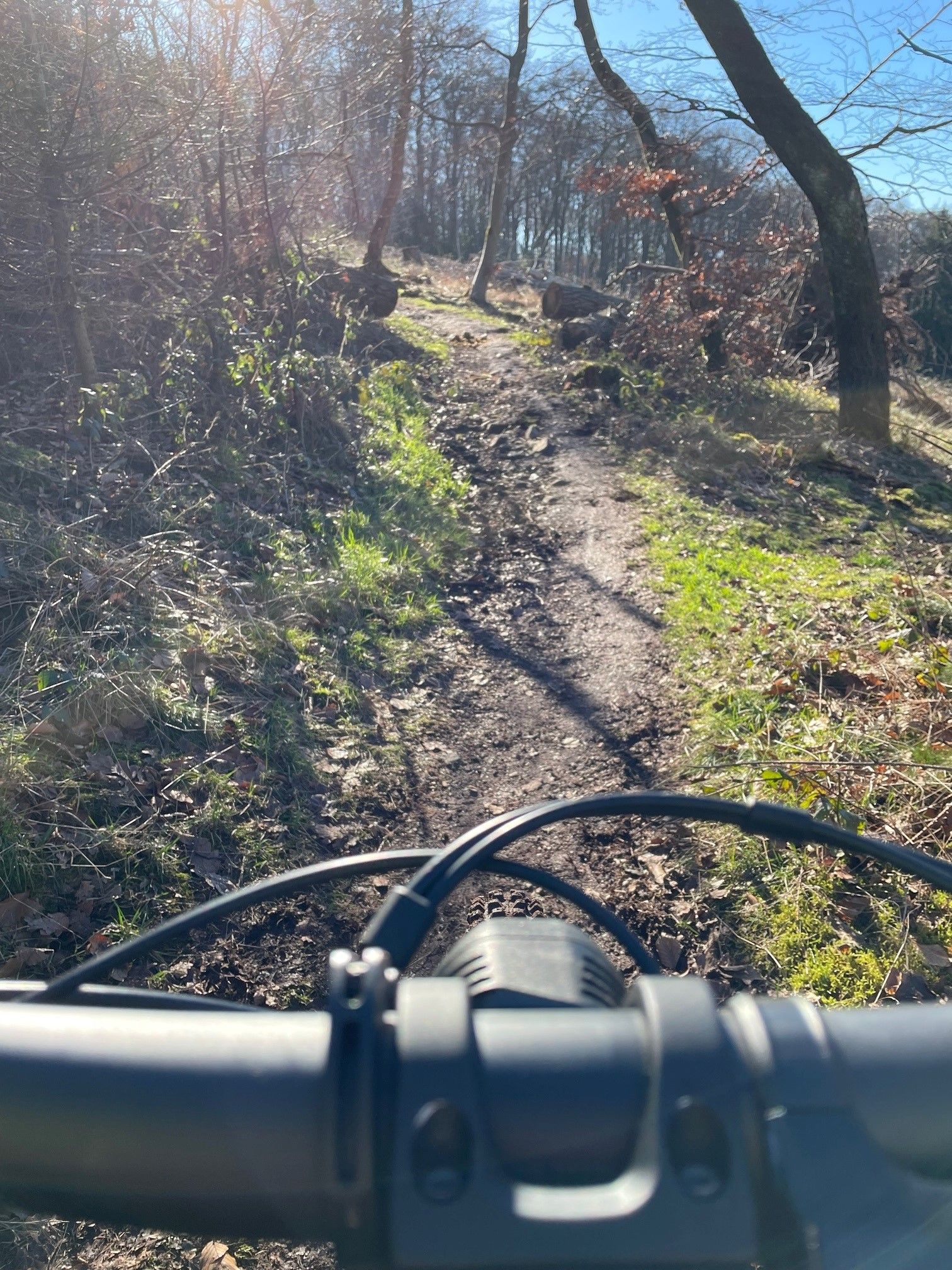 Canyon on Trail 2.jpg