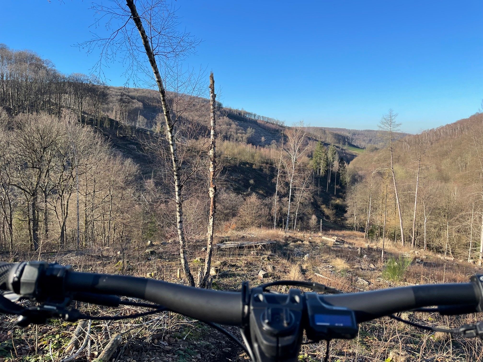 Canyon on Trail 4.jpg