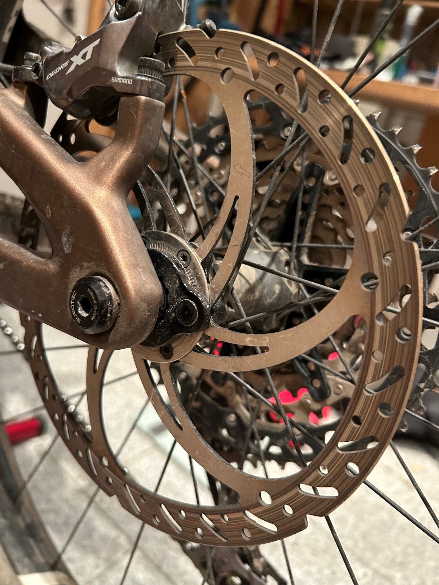 CenterLock Magnet am Bullit.jpg