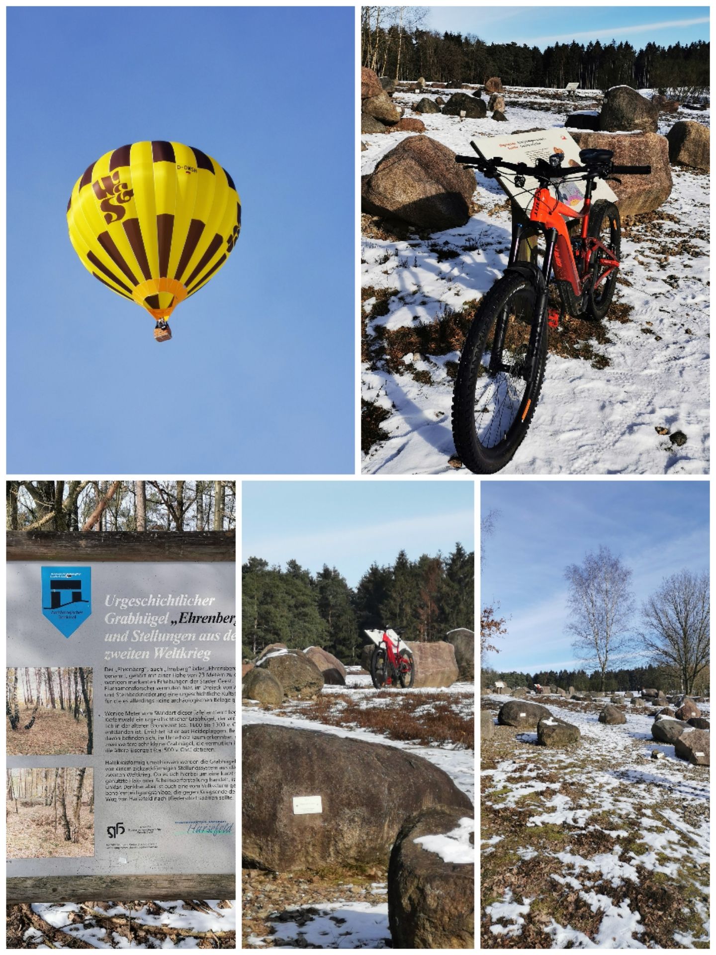 Collage_20210214_145723.jpg