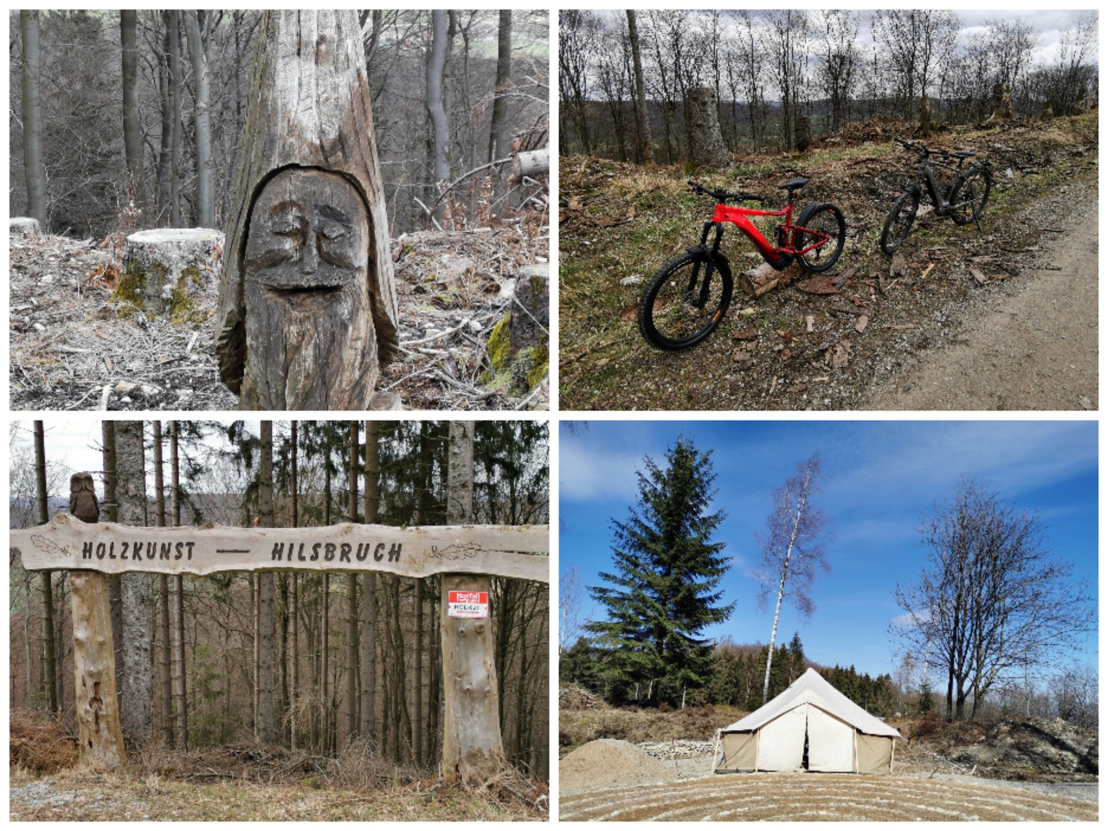 Collage_20210329_165336.jpg