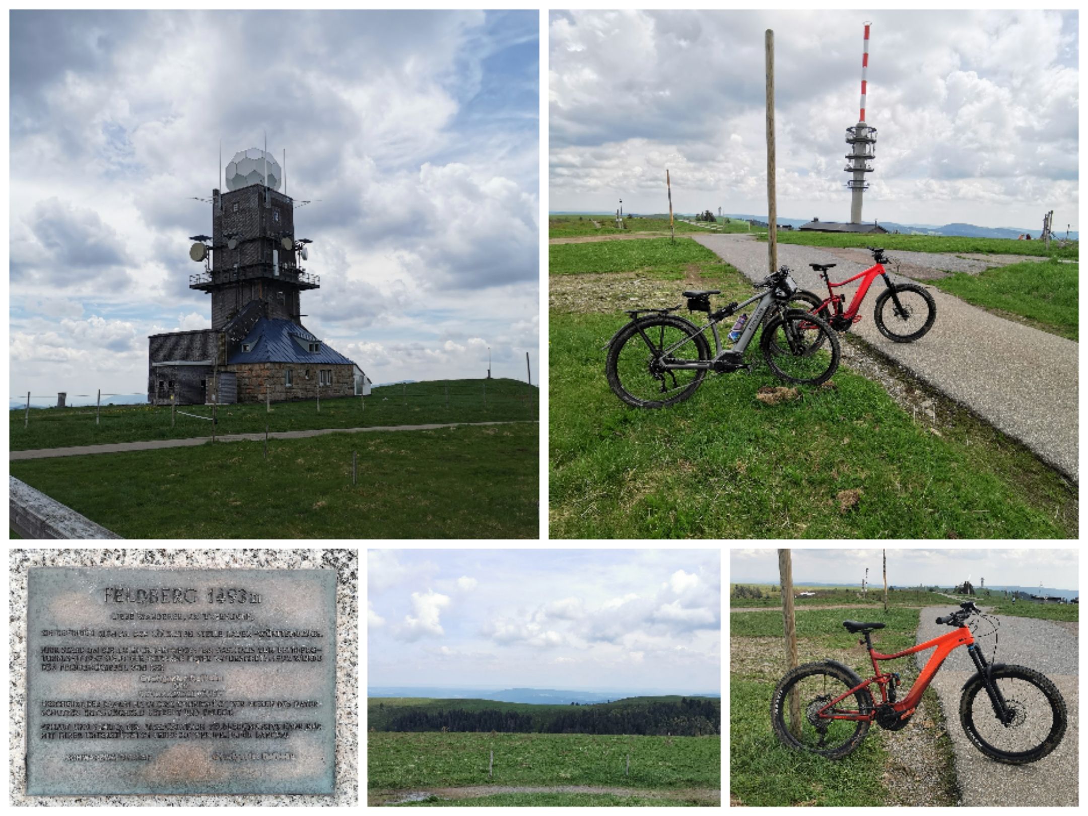 Collage_20210612_171019.jpg