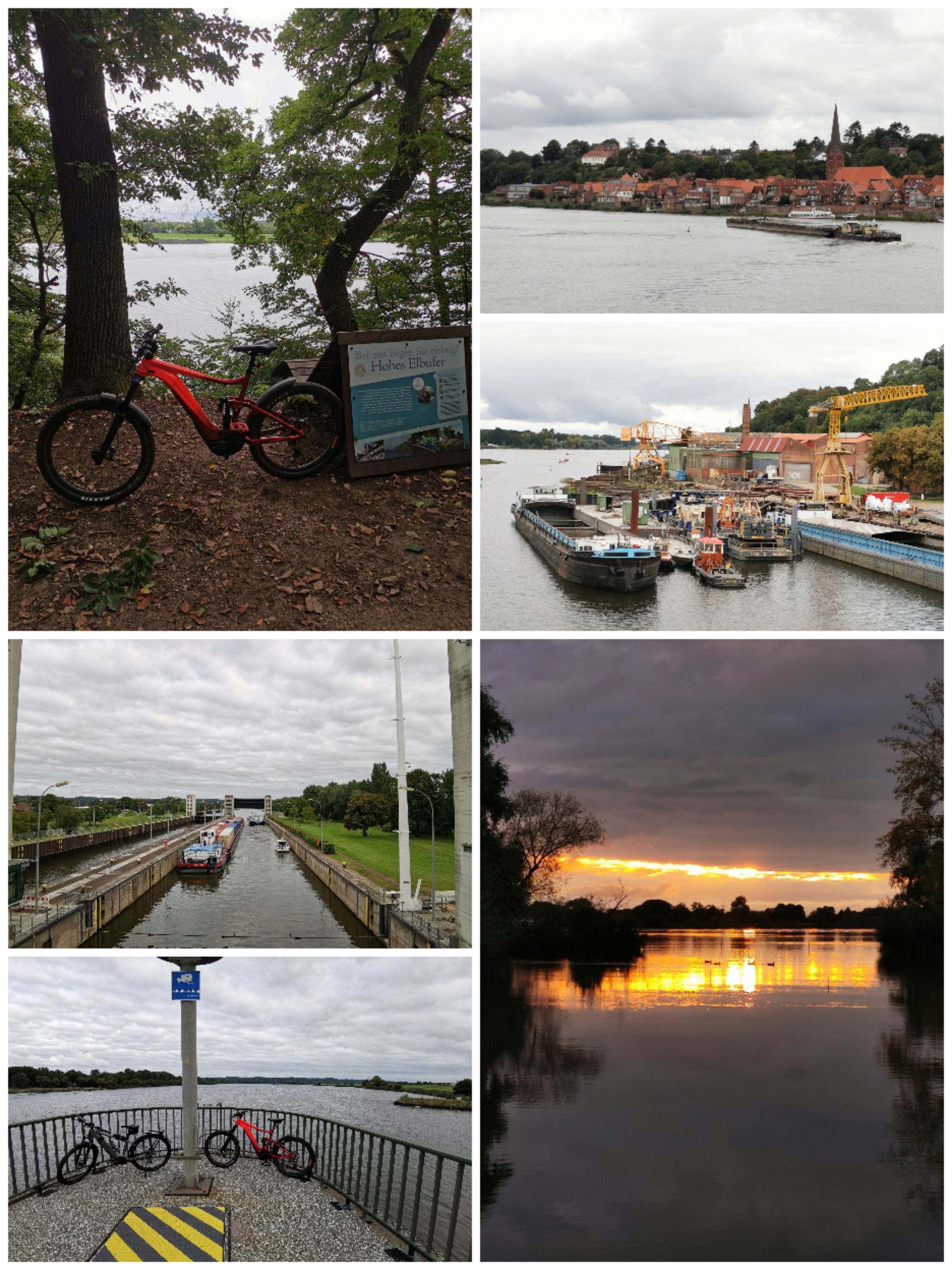 Collage_20210918_215146.jpg