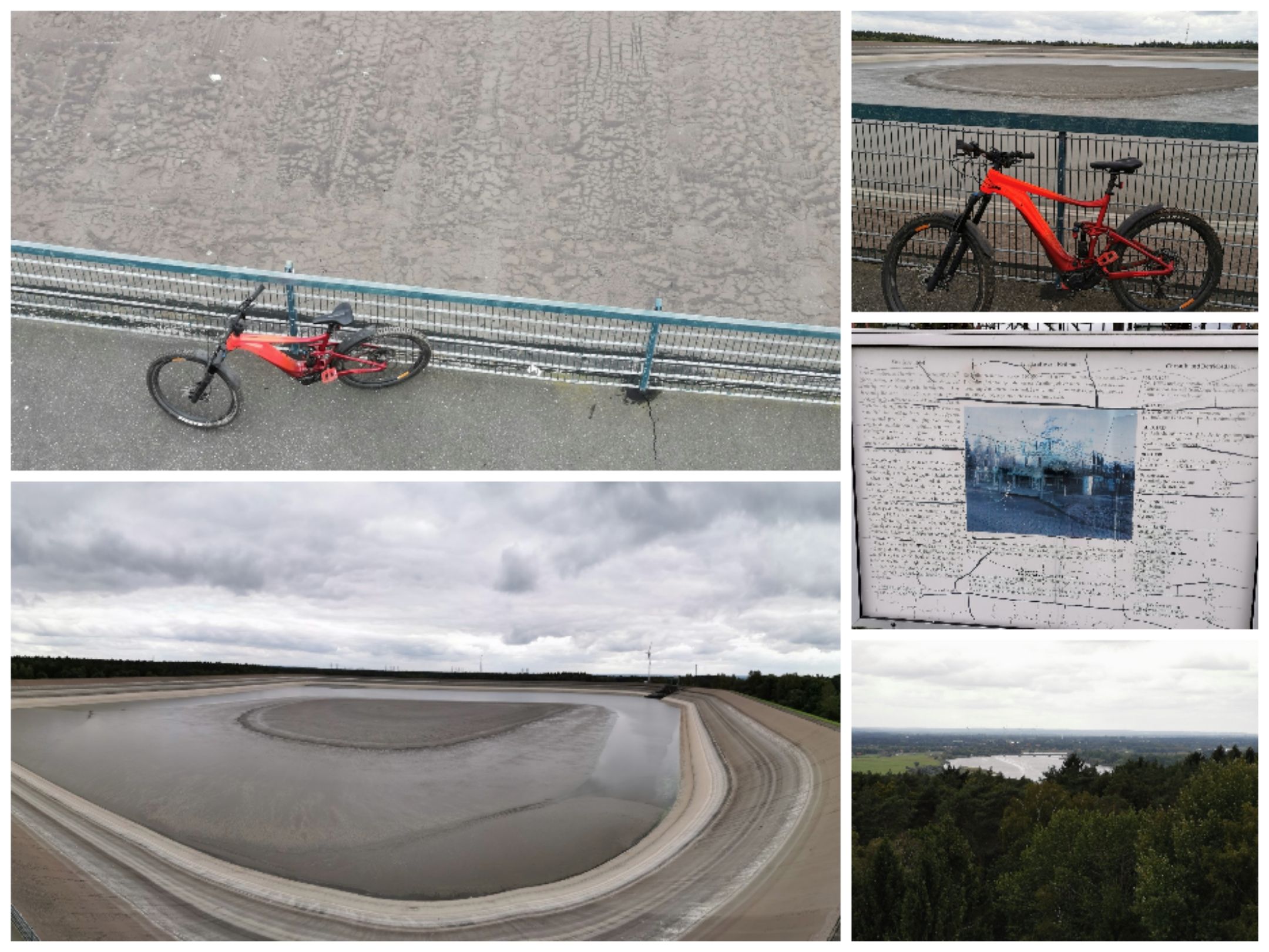 Collage_20210919_174353.jpg