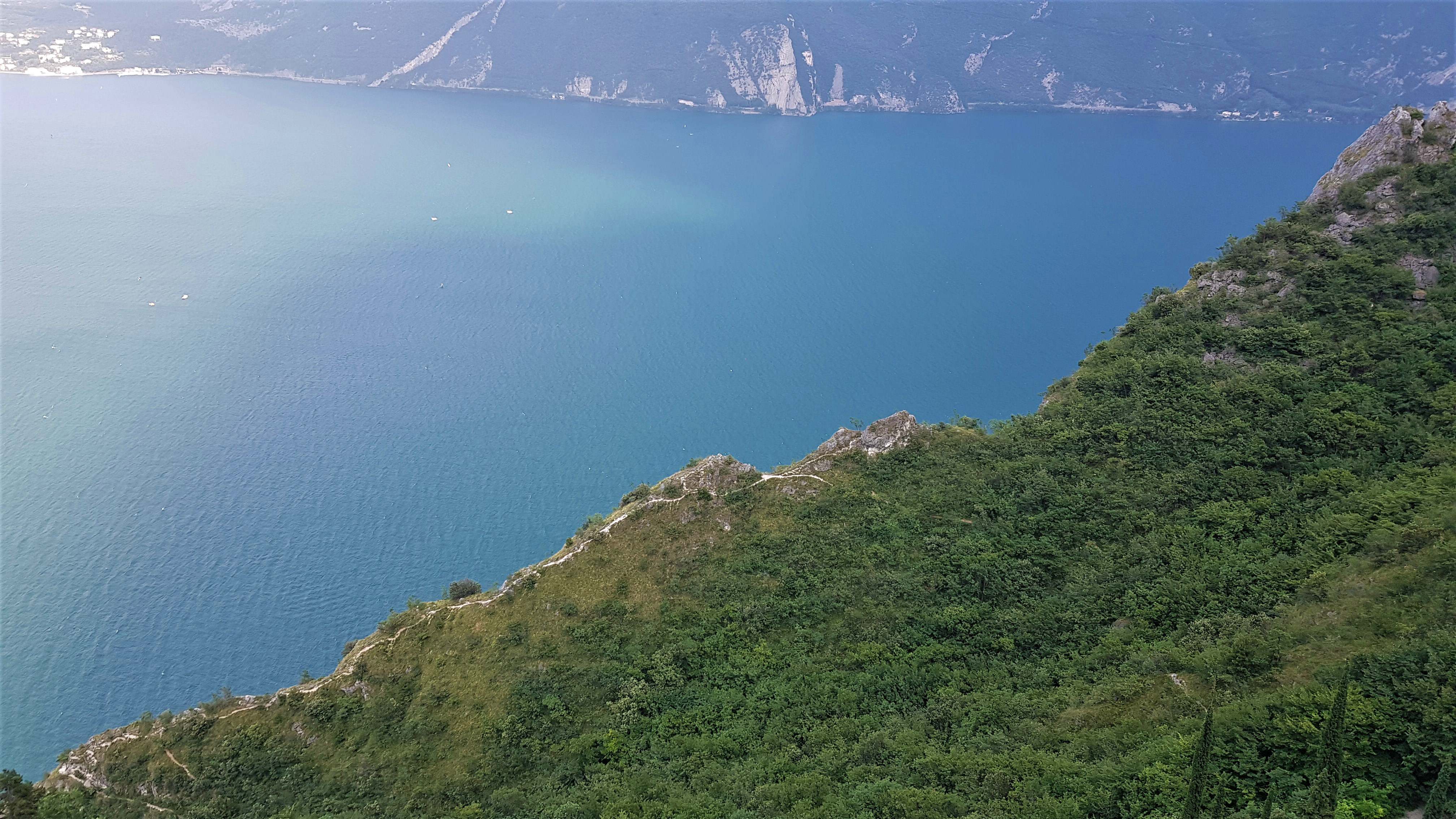 comp_20190628_172710.jpg