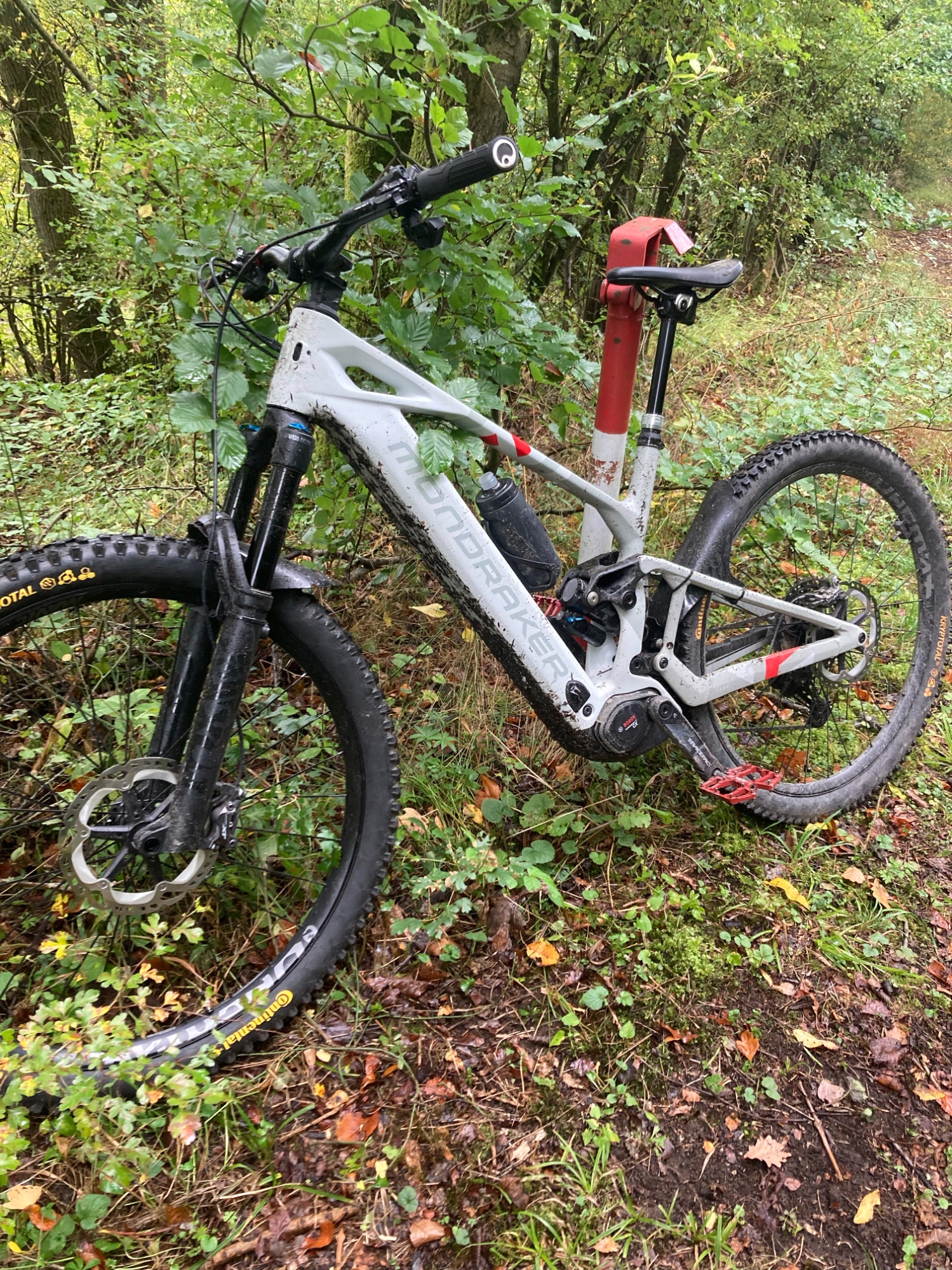 Crafty_Trail_2.jpg