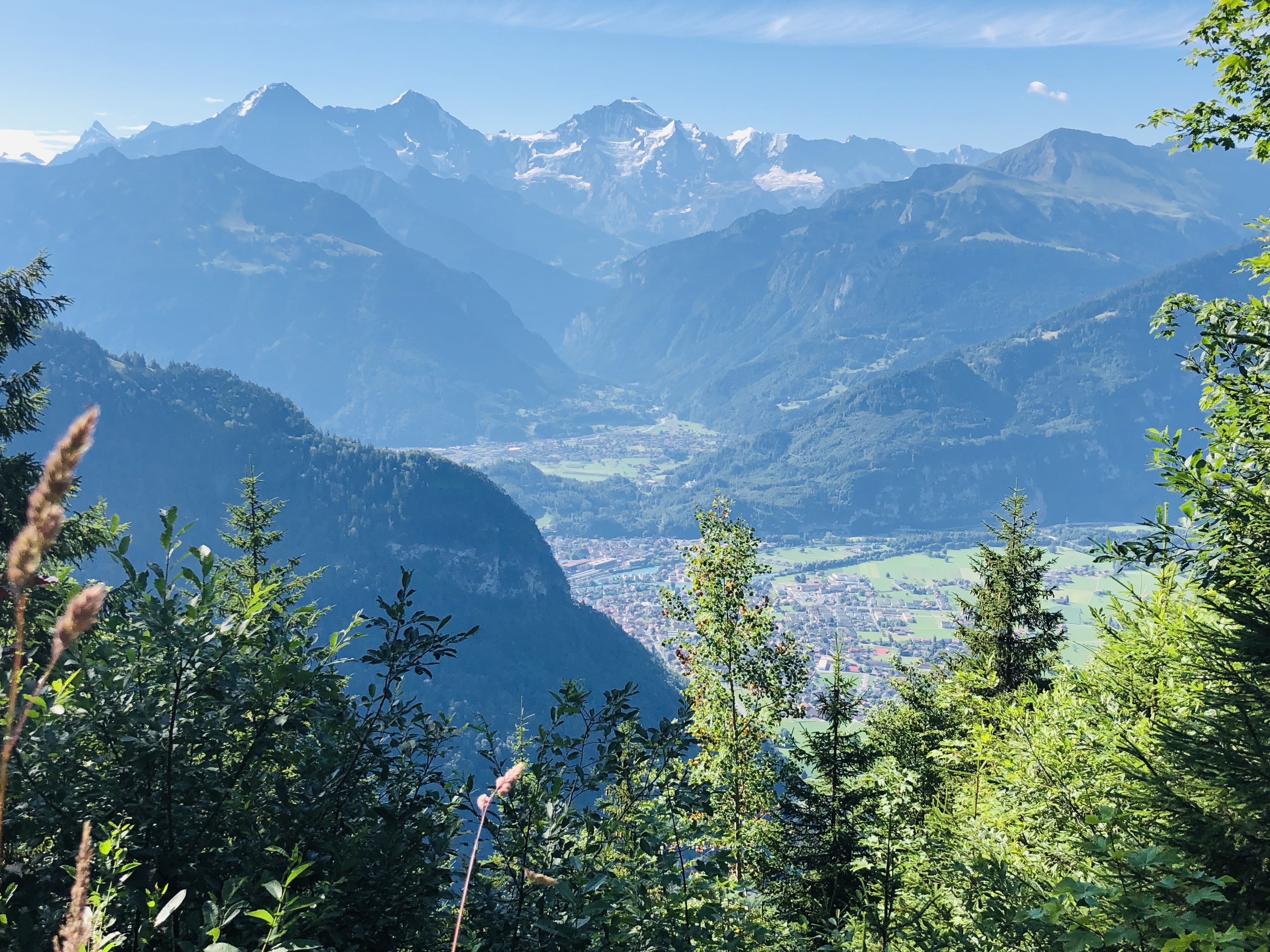 D9042922-566B-4122-9F0C-5210DE024844.jpeg