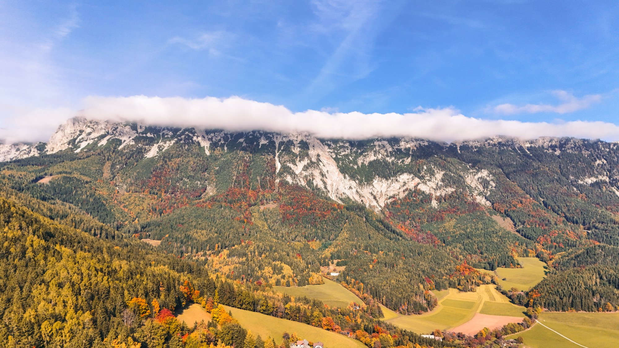 dji_fly_20251019_105404_0040_1760874608261_photo.jpg