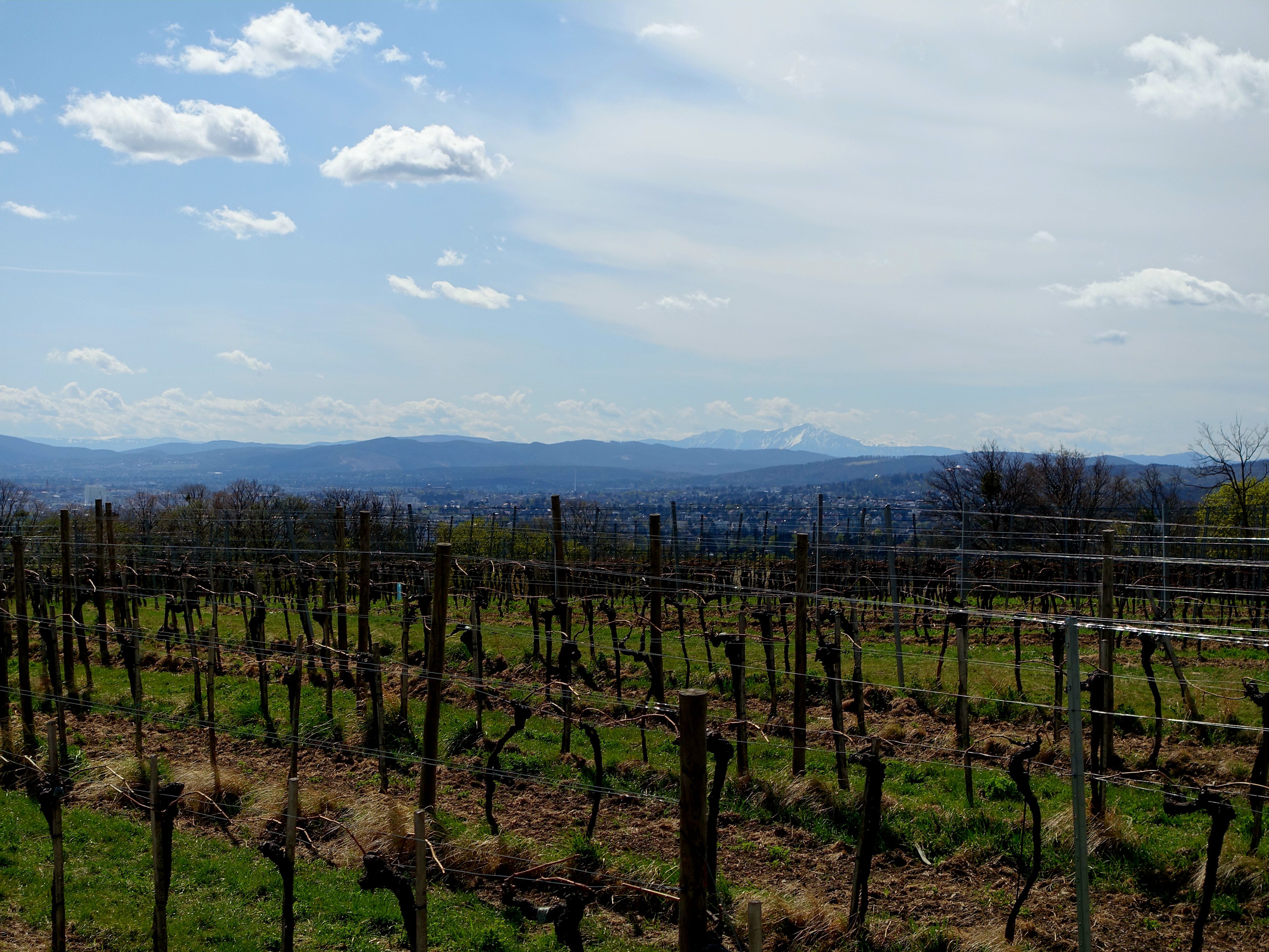 DSC00164.JPG