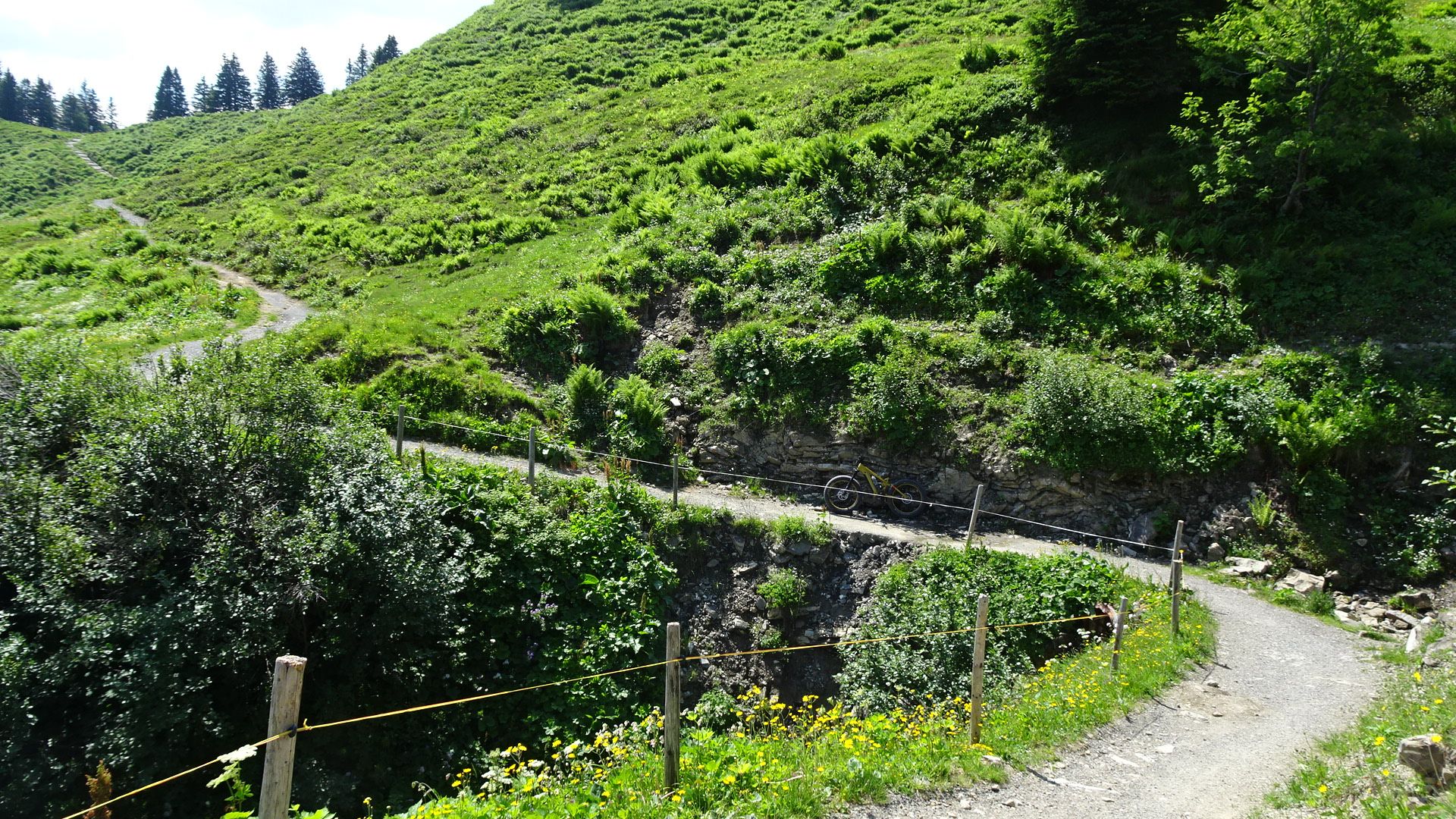 DSC02058.JPG