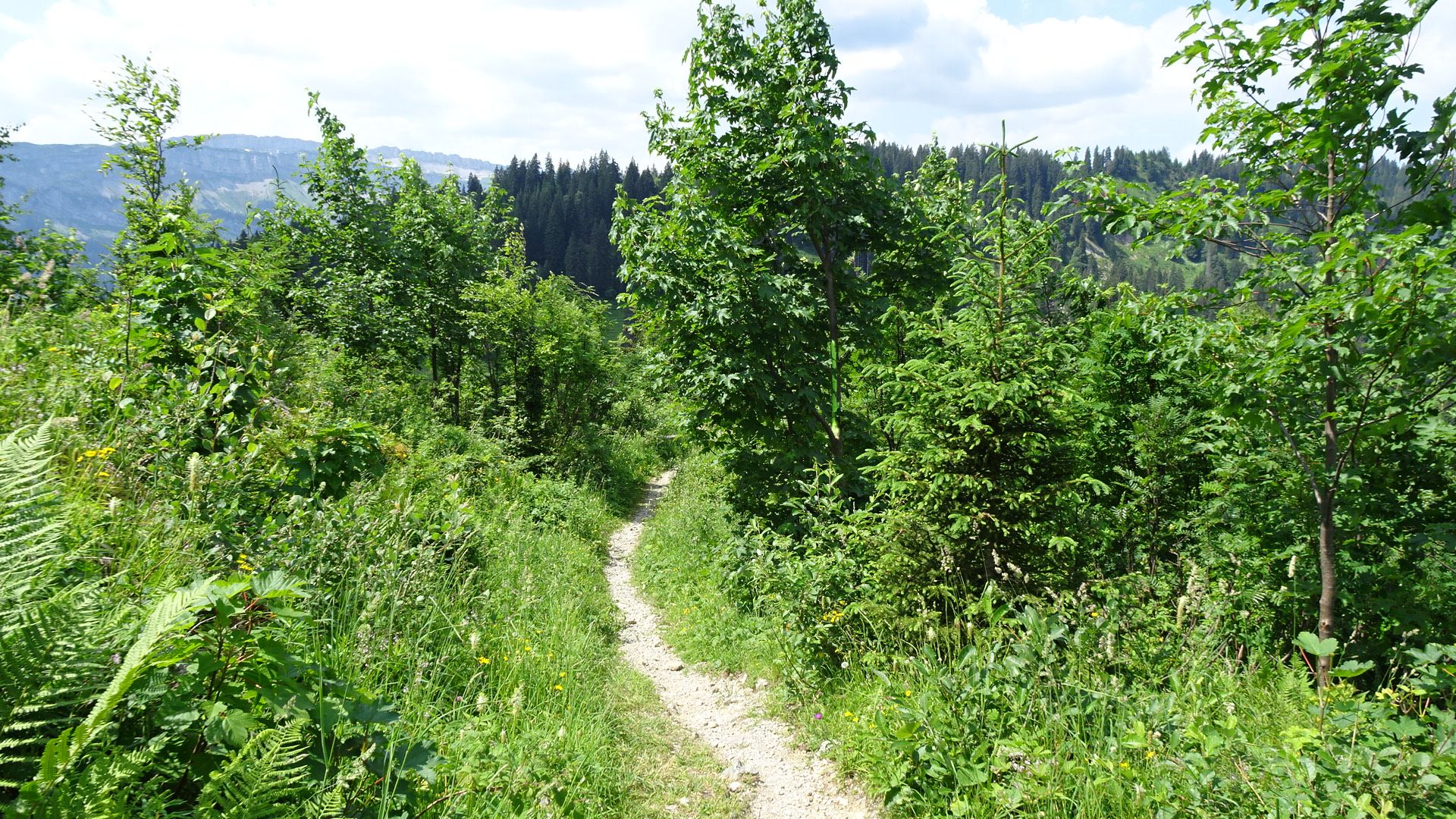 DSC02068.JPG