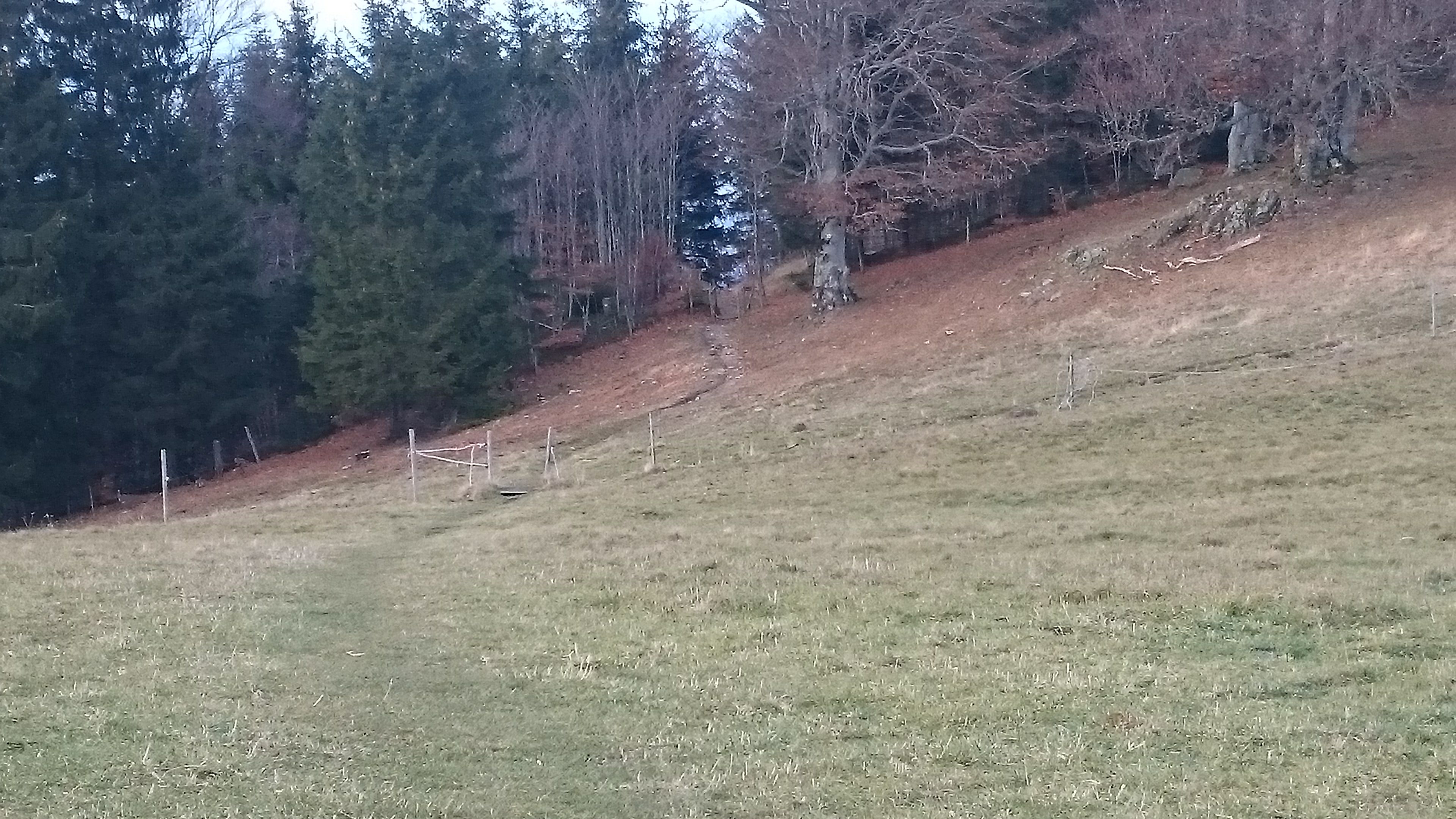 DSC_0094.JPG
