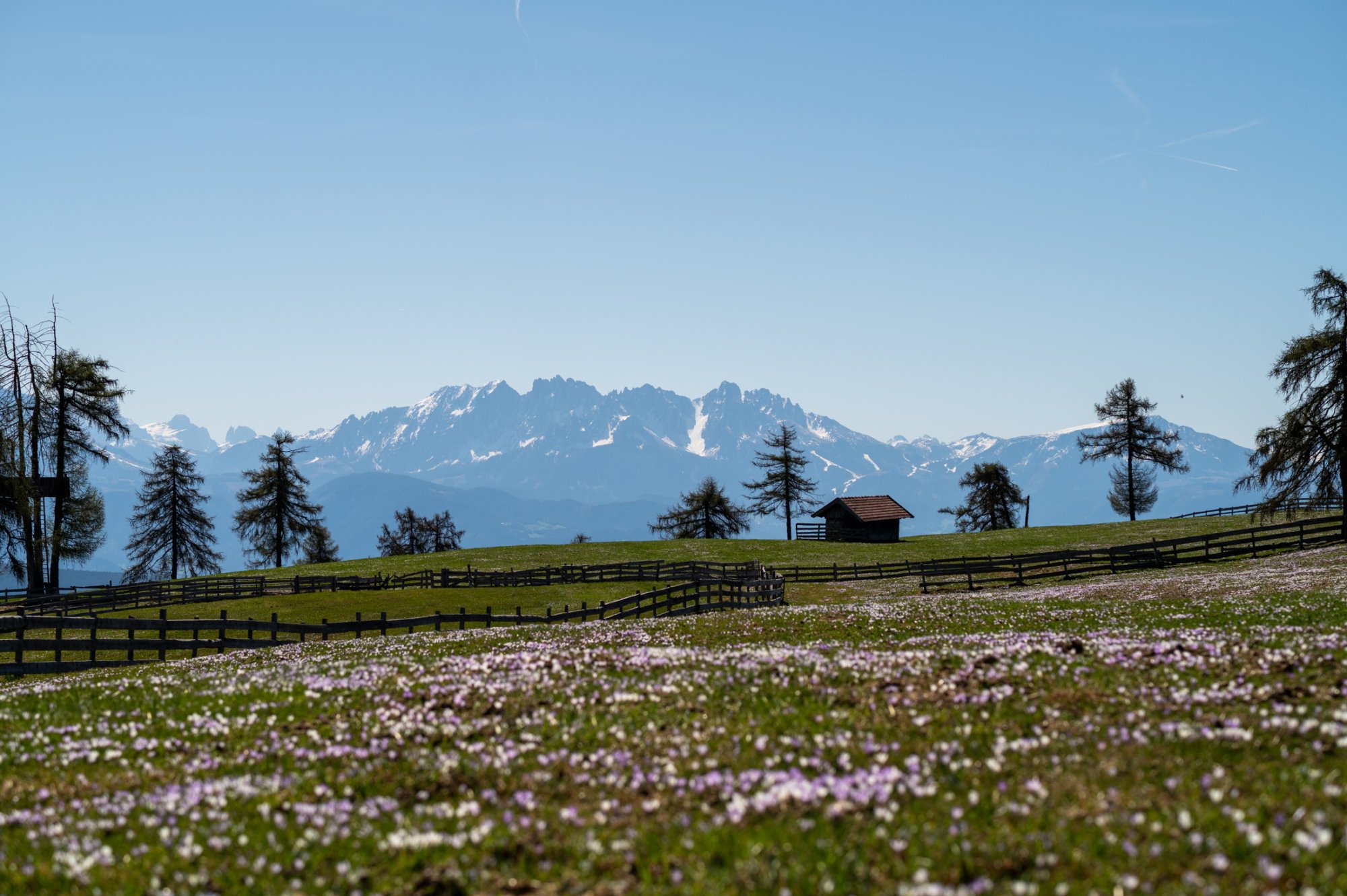 DSC_4894.jpg