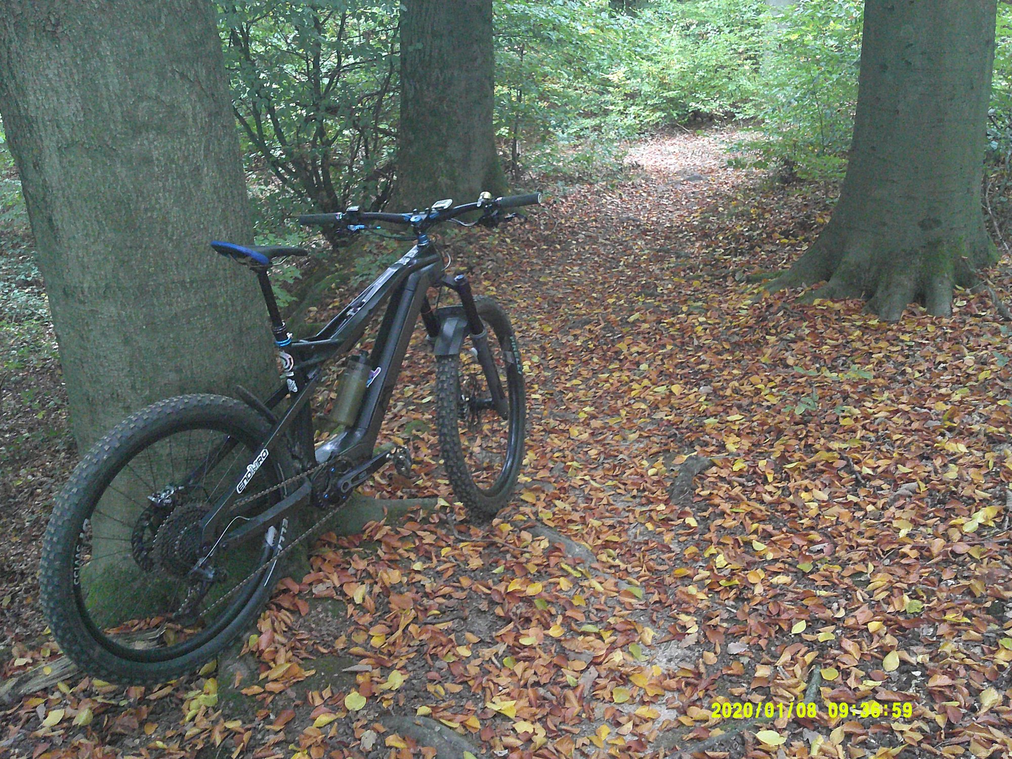 DSCF0007.JPG