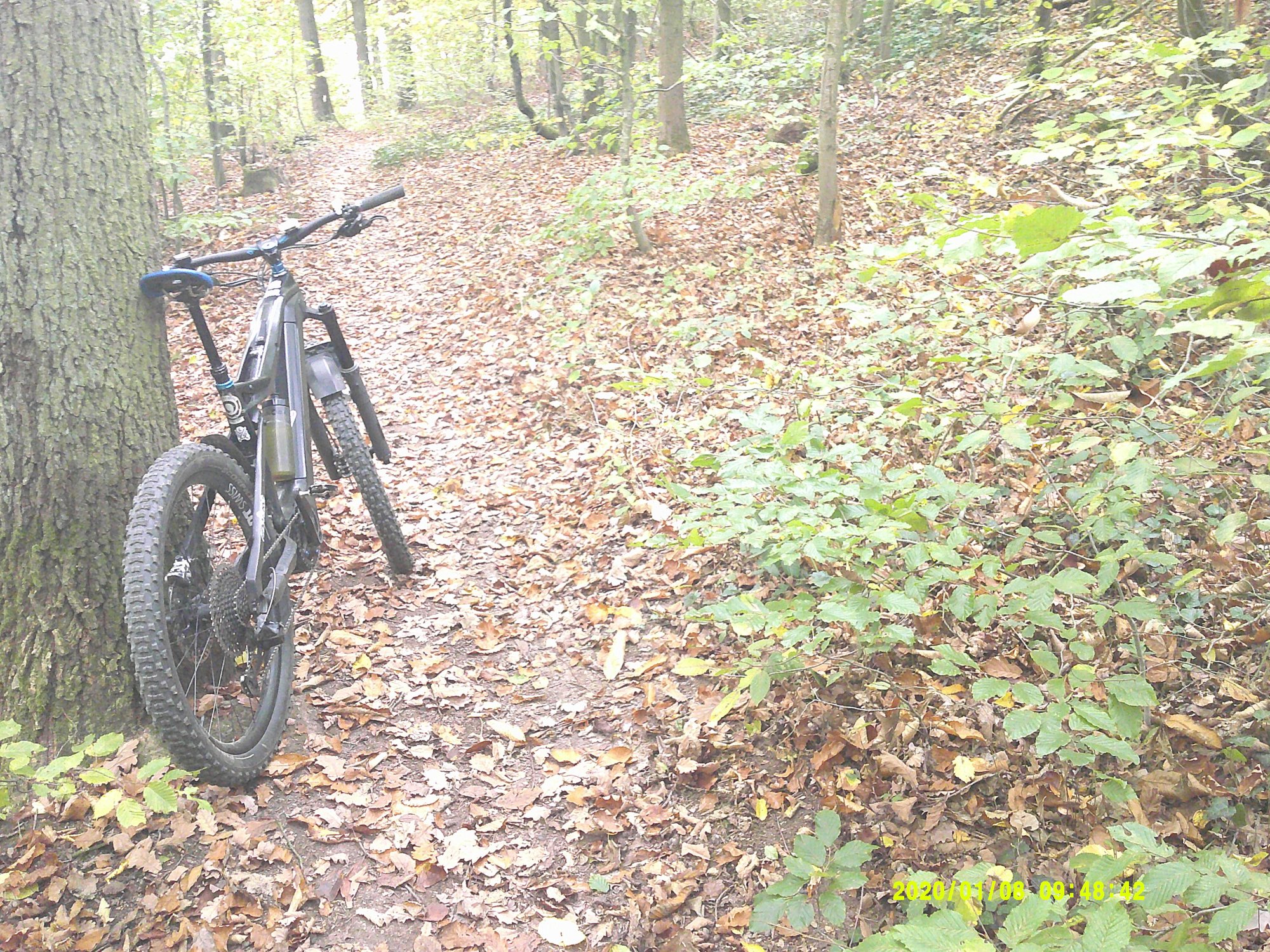 DSCF0008.JPG
