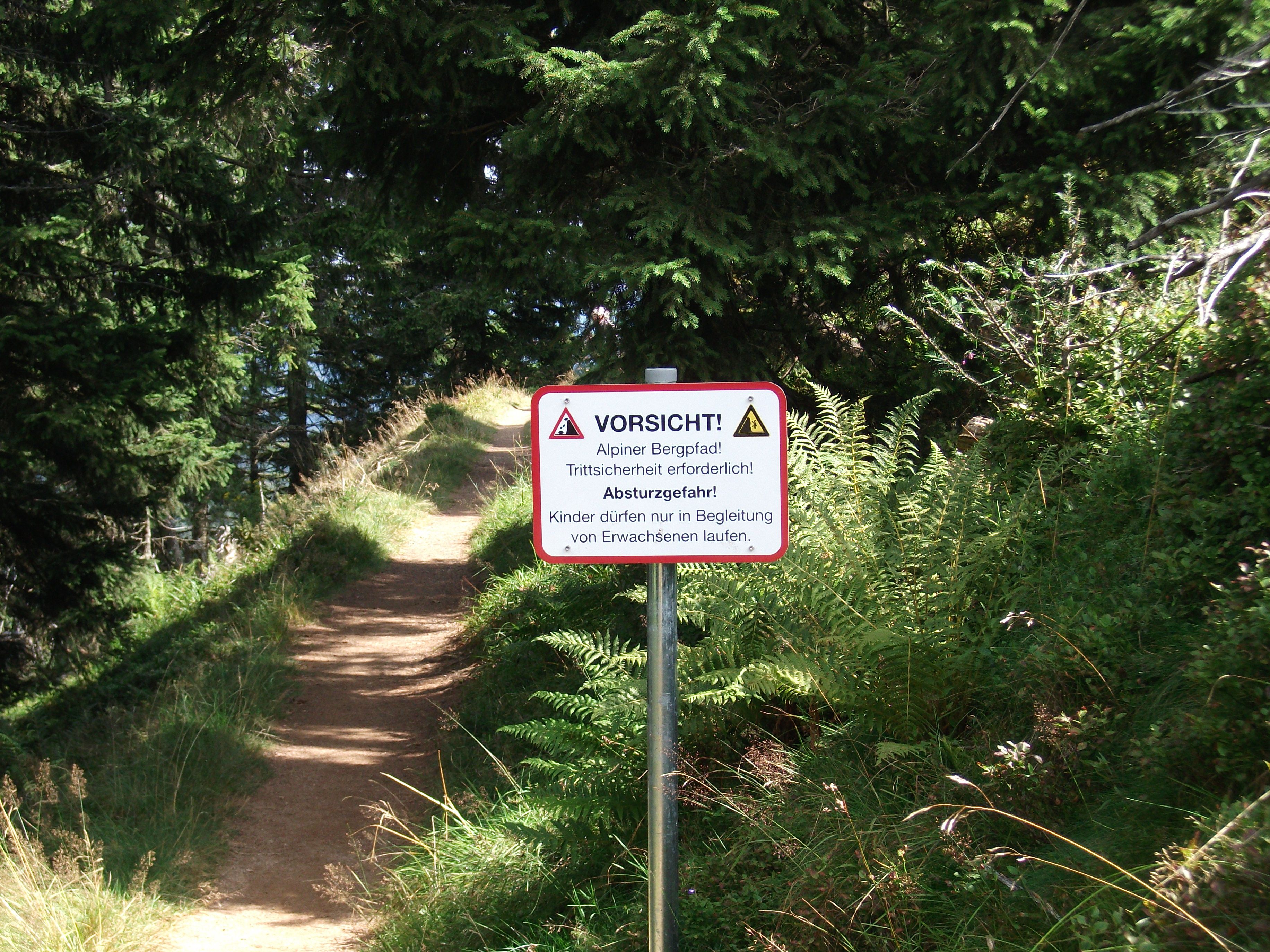 DSCF0239.JPG