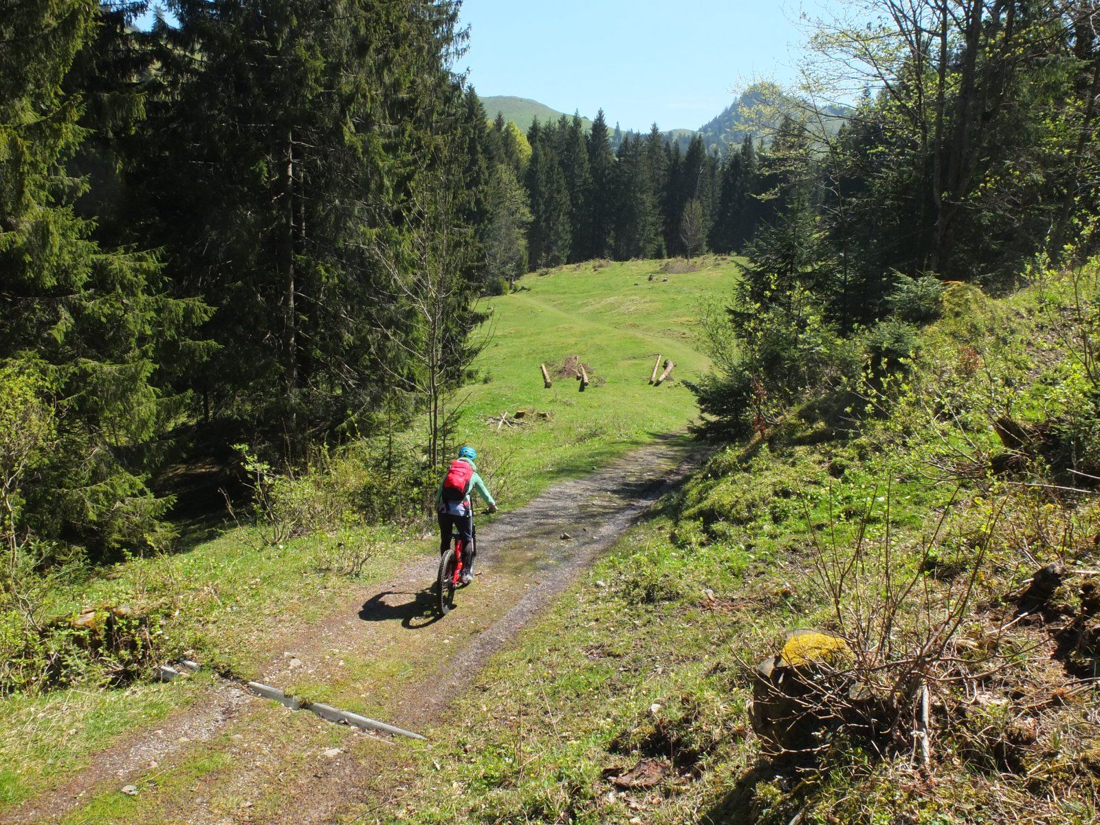 DSCF5334.JPG