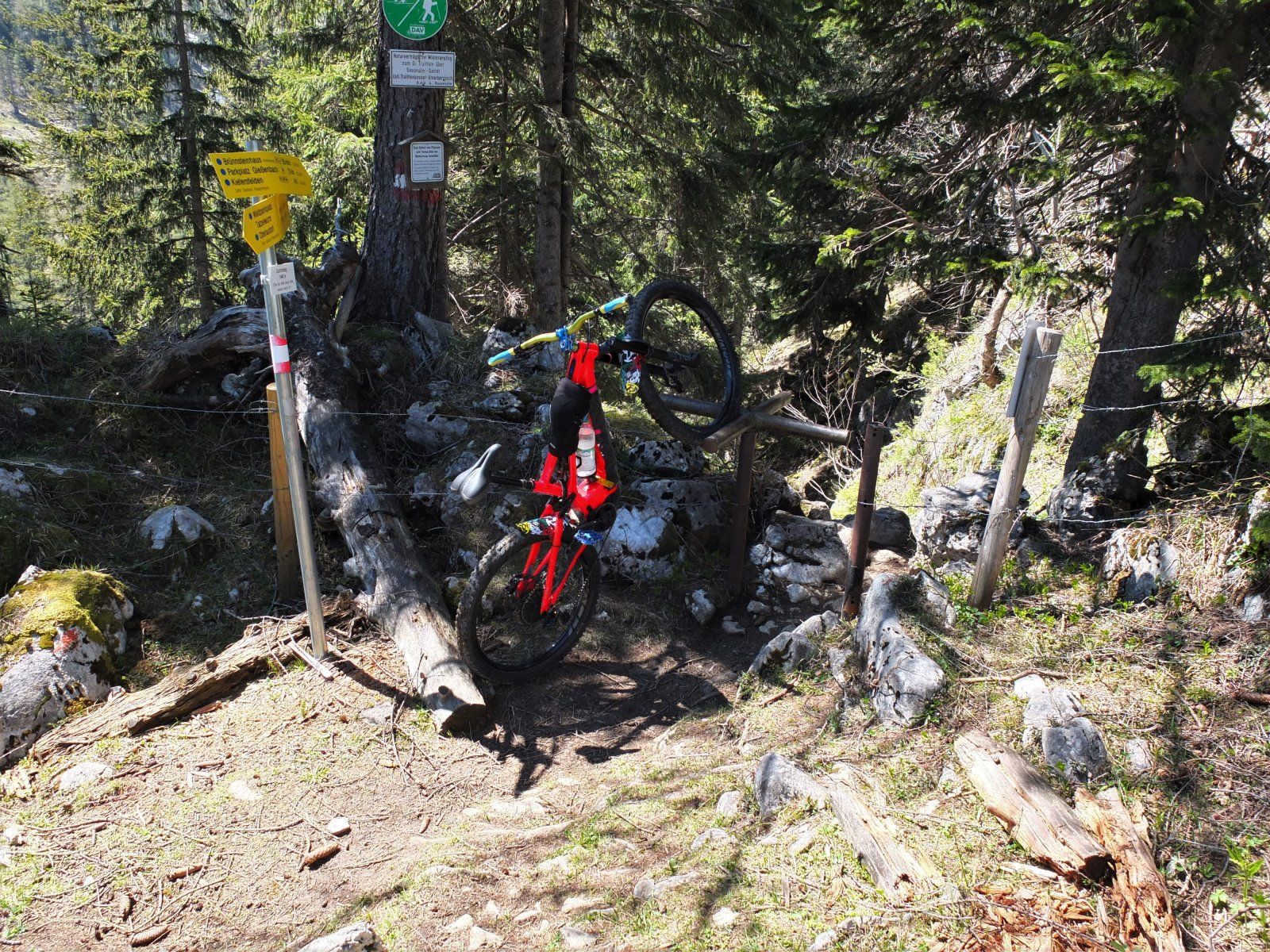 DSCF5339.JPG