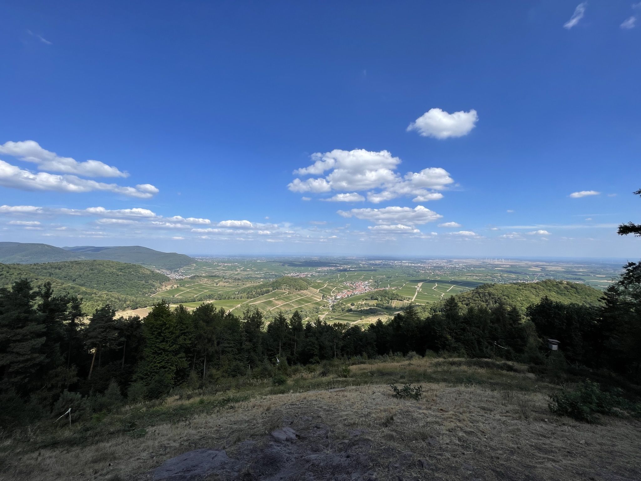 E35D3551-8C5A-4996-BEF1-2C6EE2DF9D05.jpeg