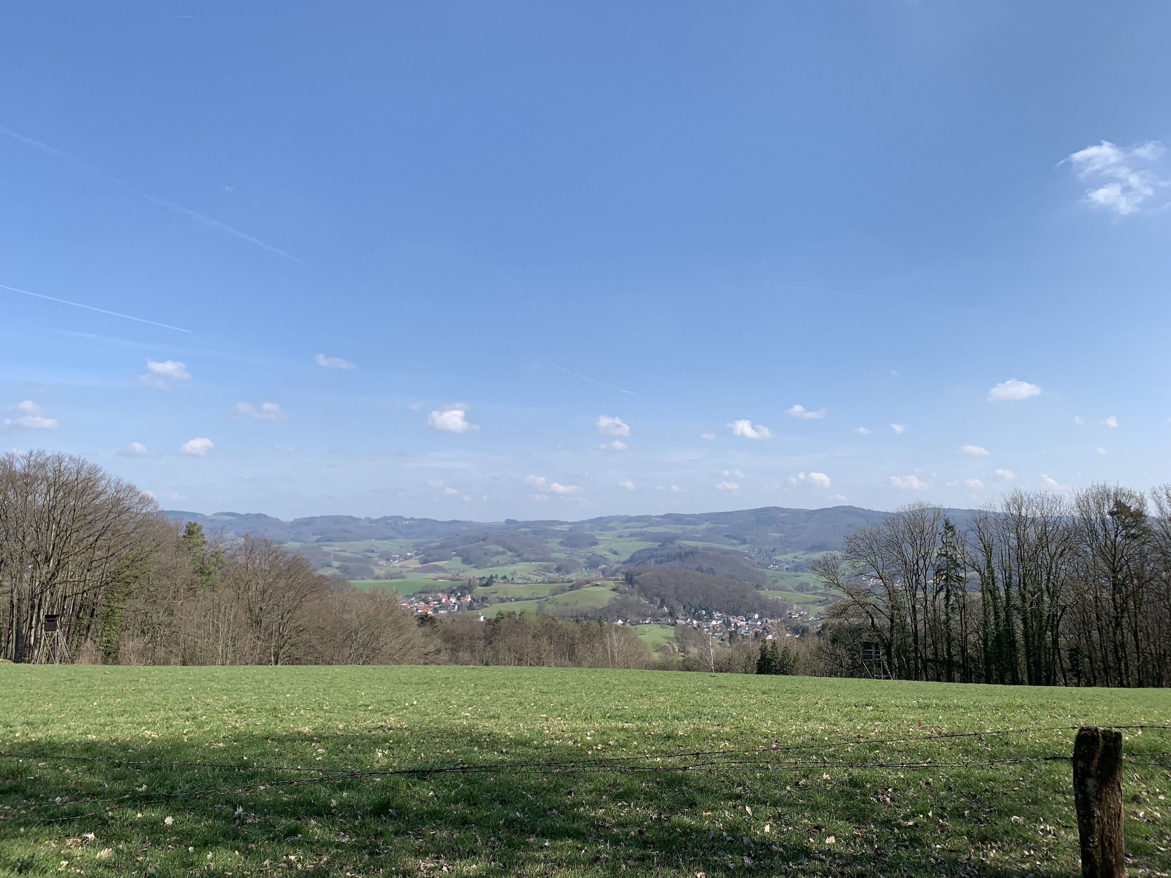 E4999A67-B8A9-4301-94AB-654F091DE625.jpeg