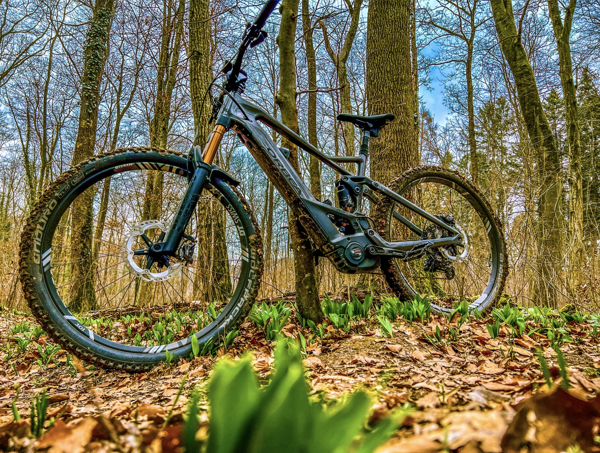 EDE08360-BE07-4270-B3CD-F02F9502F96F.jpeg