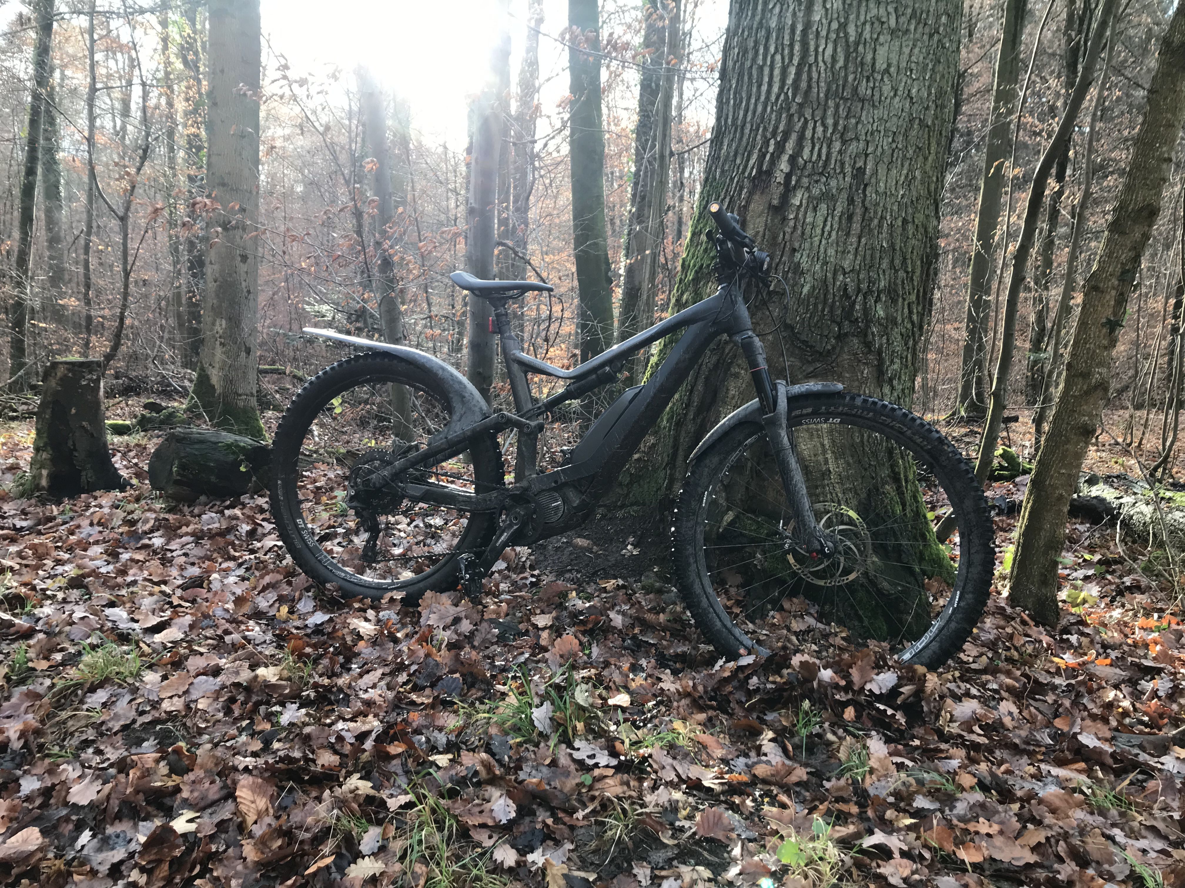 EEF04B2C-C547-4747-AF06-6F6FA089A07E.jpeg