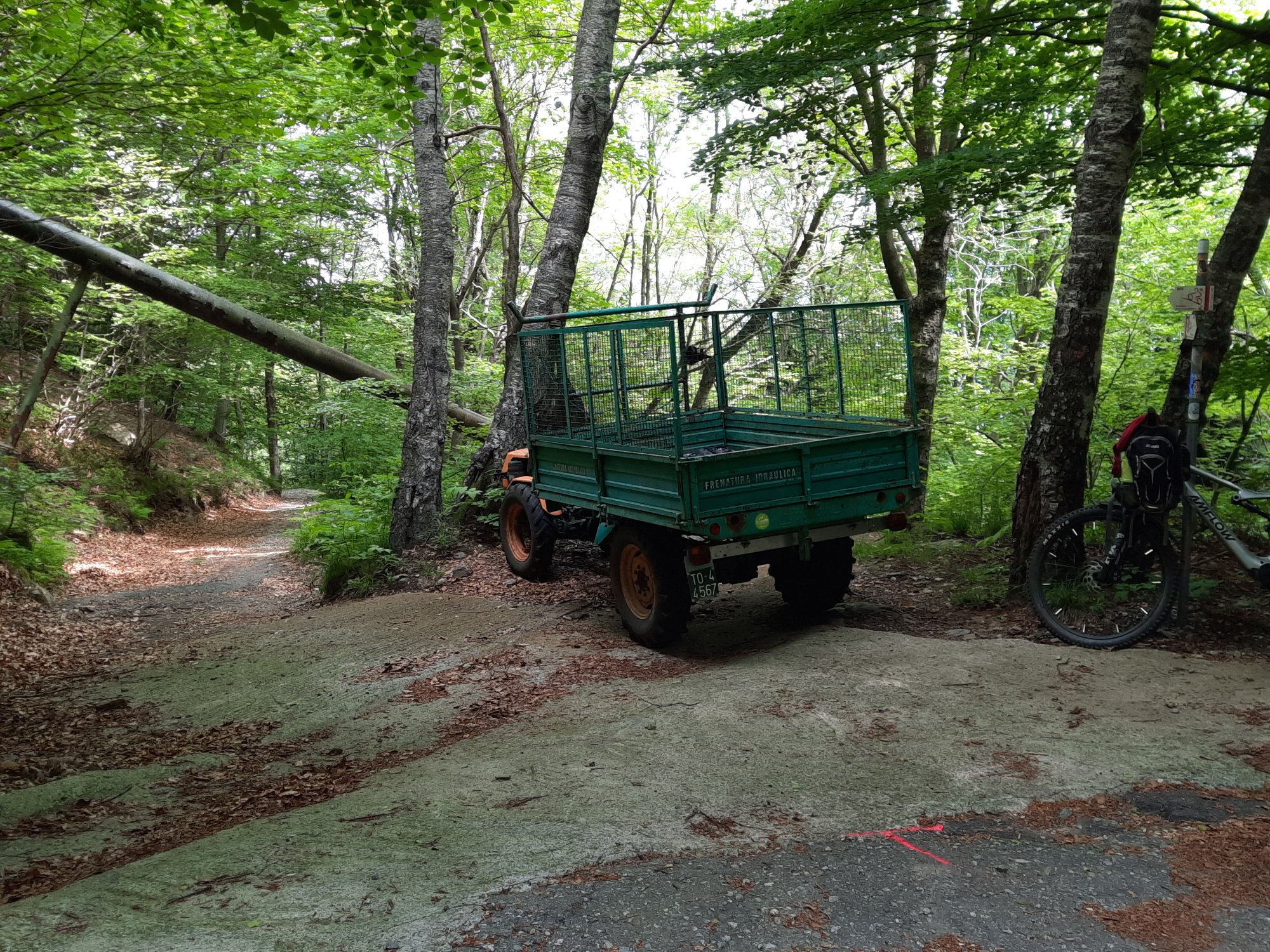 Einfaht auf halber Höhe in den Trail.jpg