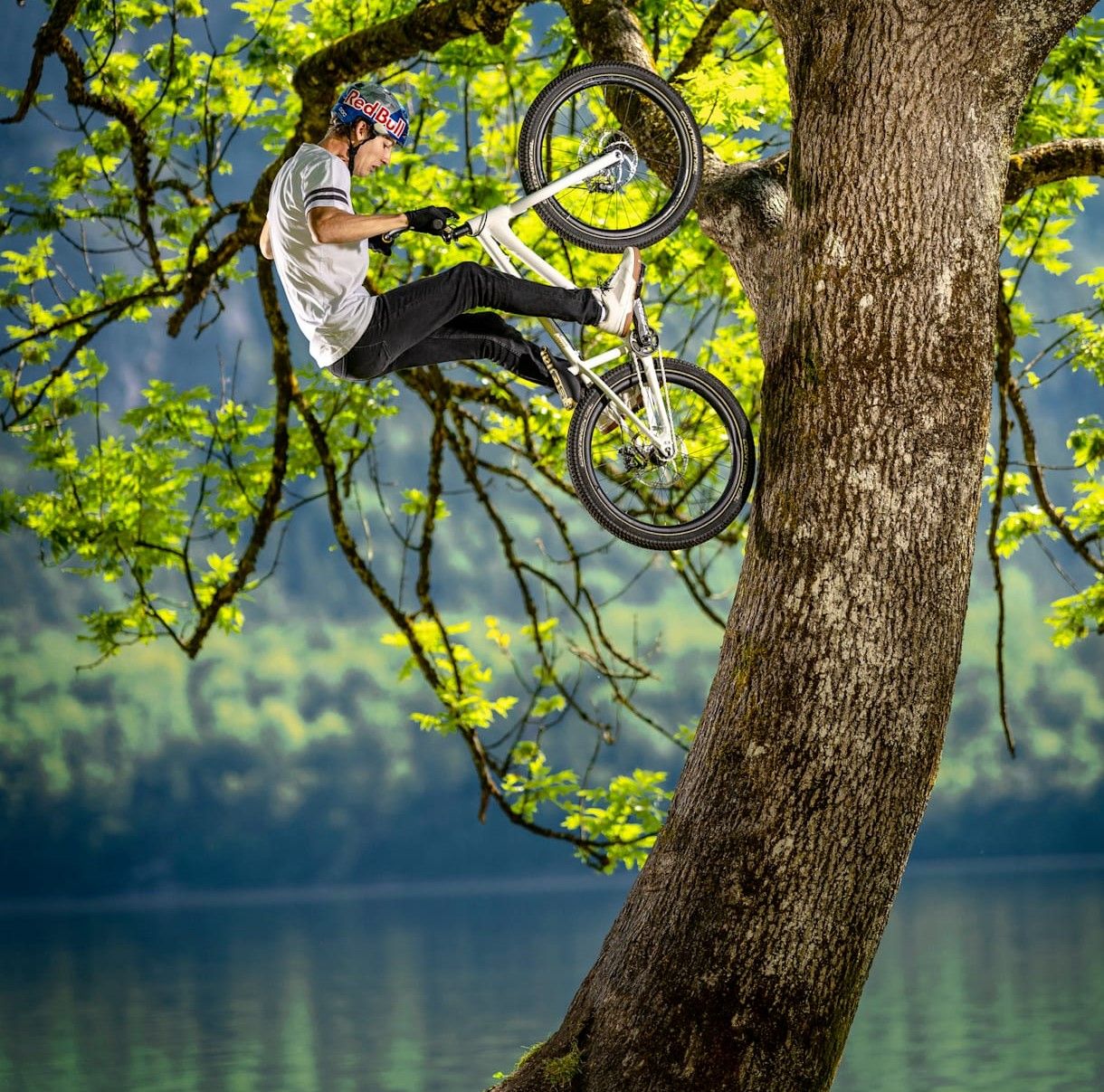 fabio-wibmer-hallstatt-tree-trick.jpg