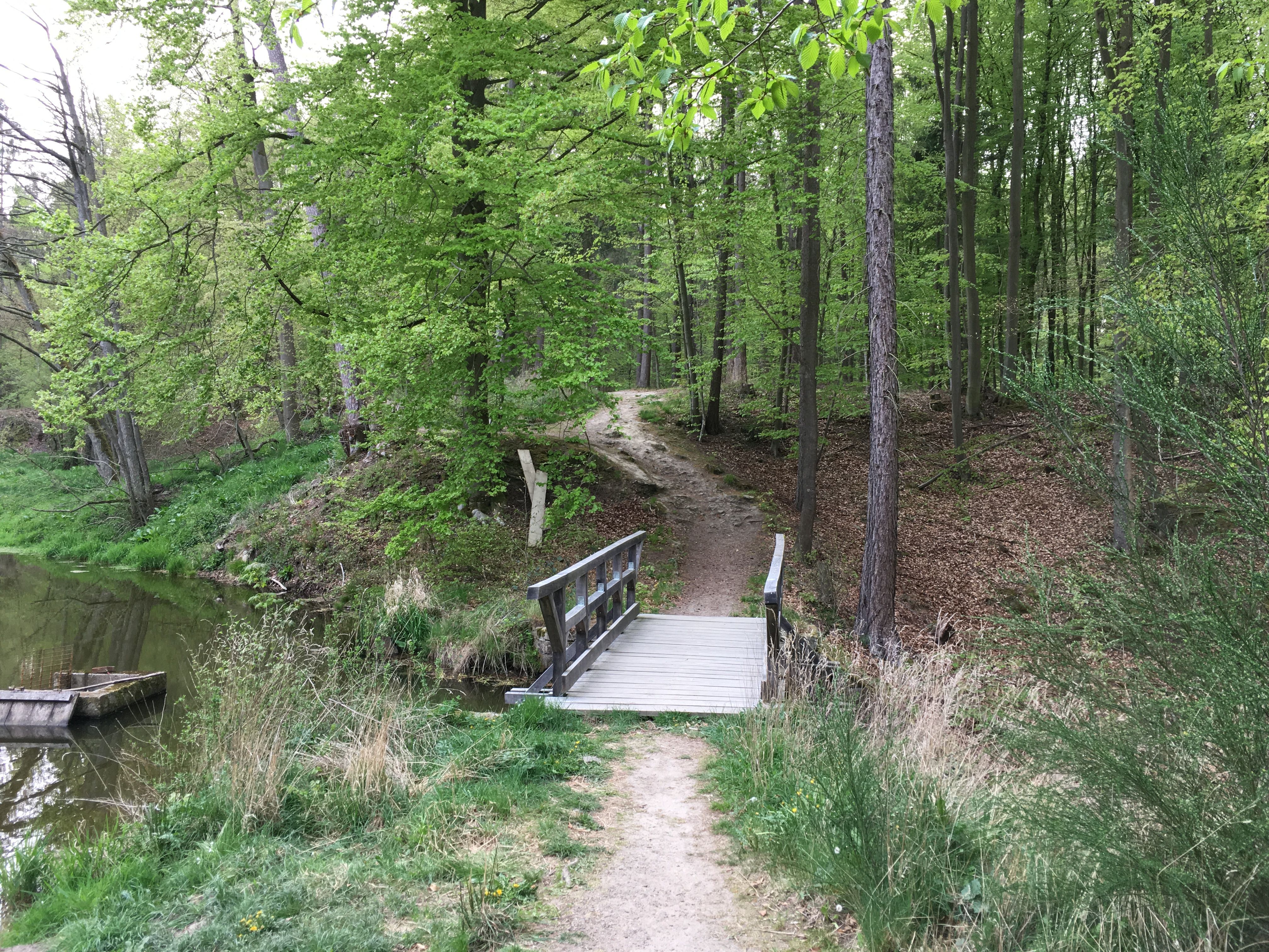 FAE1F614-6BAB-461E-B5C7-27D280365825.jpeg