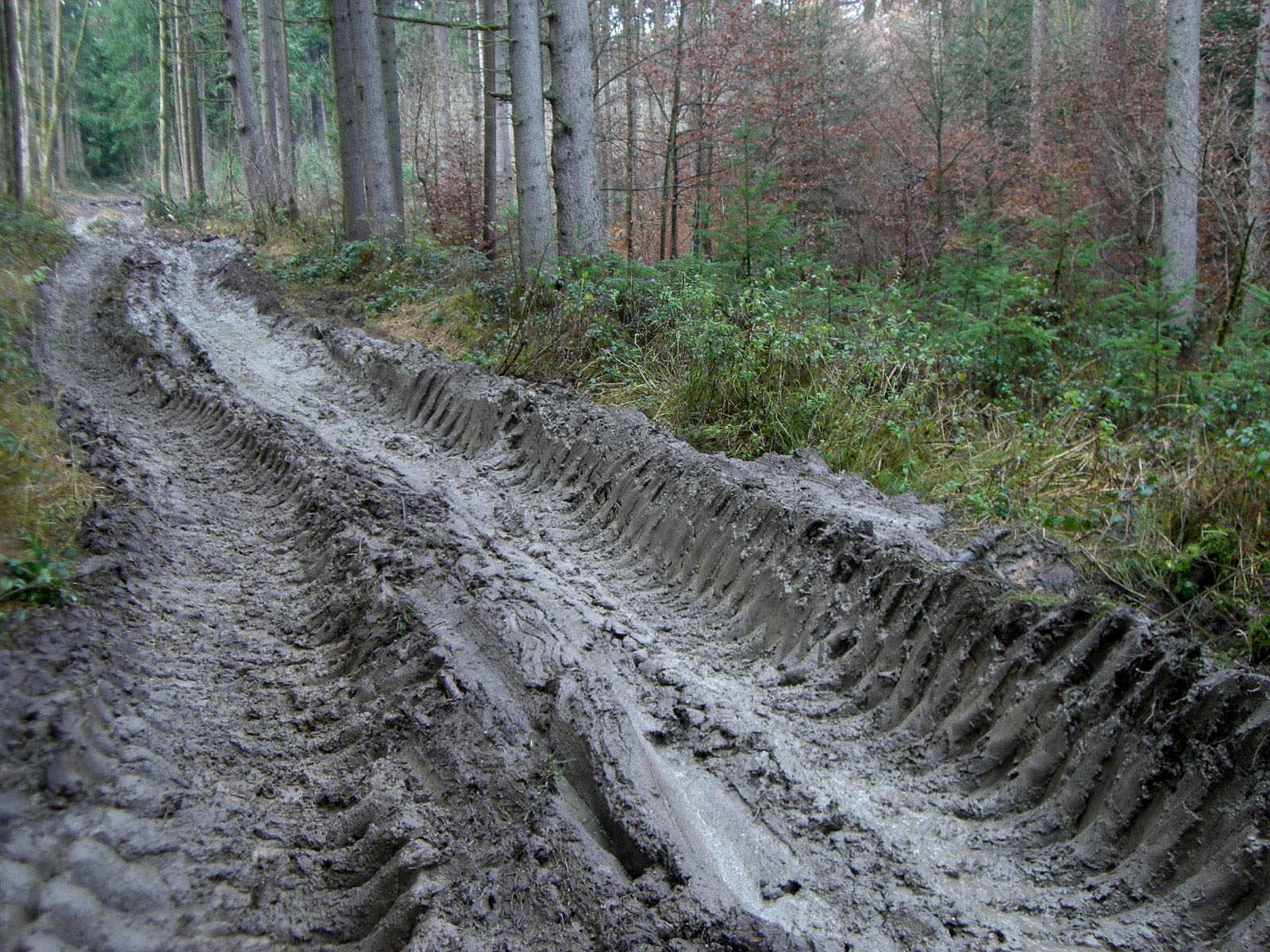 fatbike.jpg