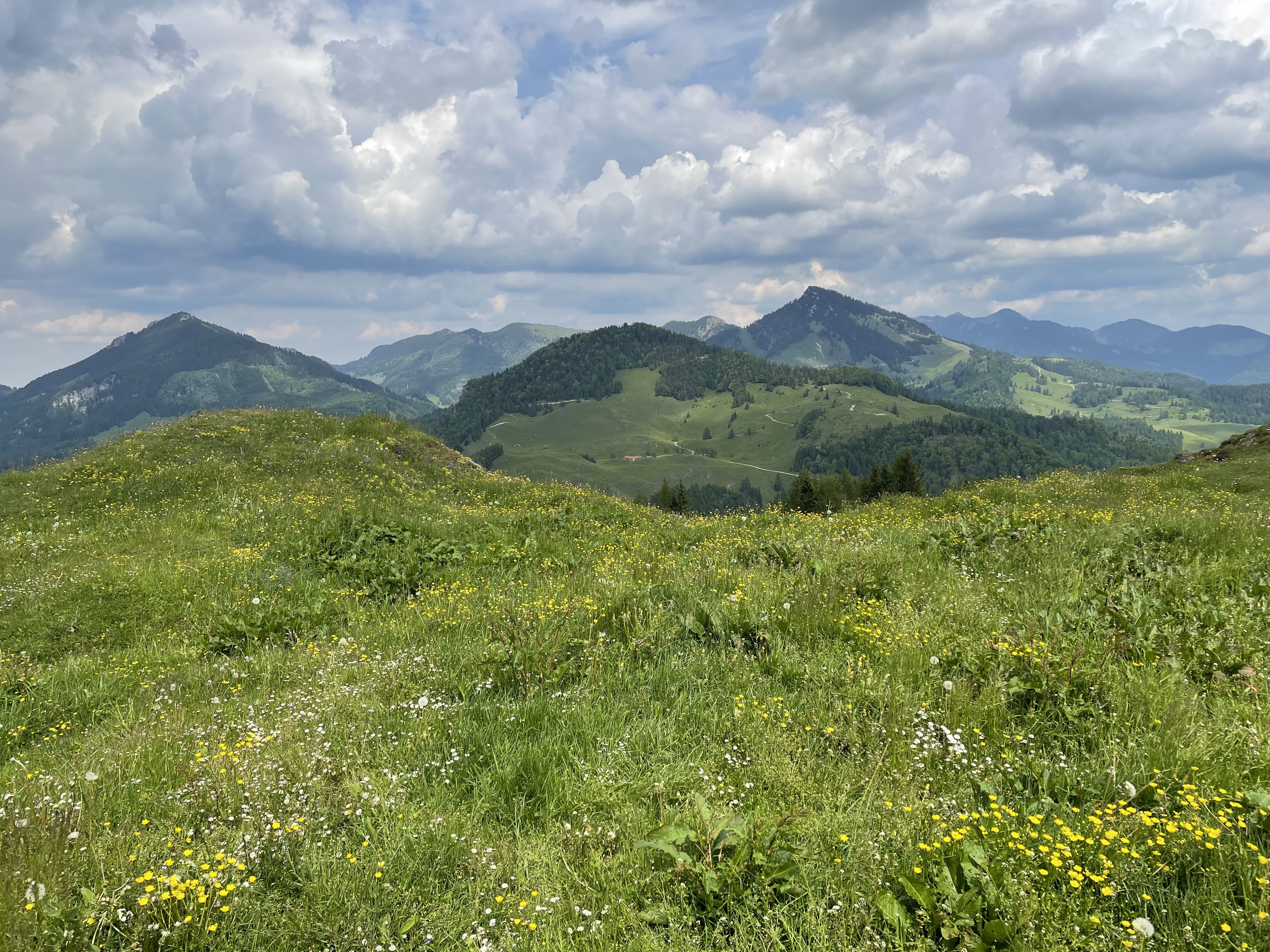 FE687641-EE77-4761-B729-6C0E673BAFD1.jpeg