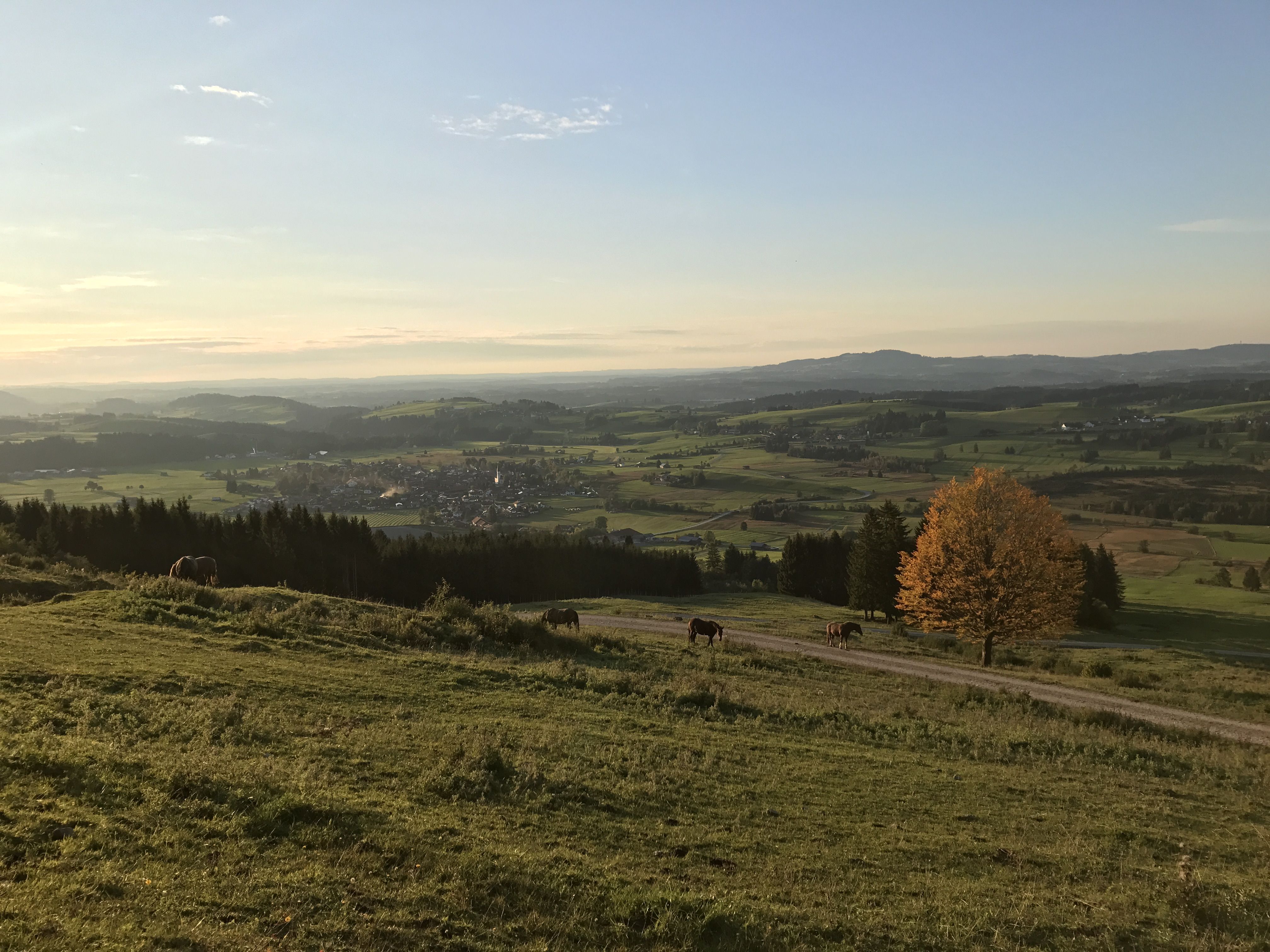 Foto 22.09.17, 18 35 24.jpg