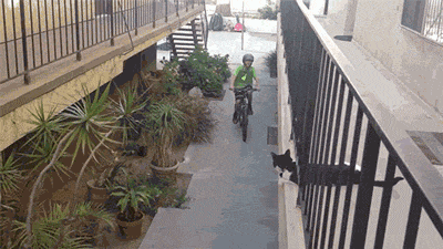 giphy (7).gif