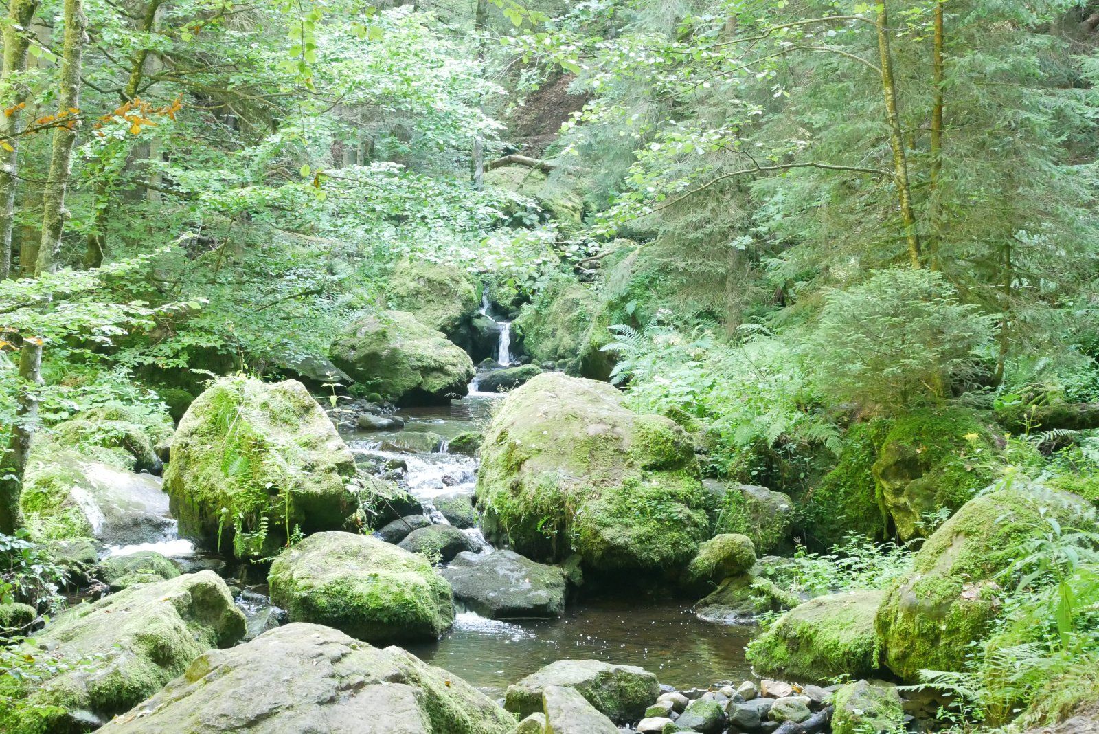 GrenzeBach.jpg