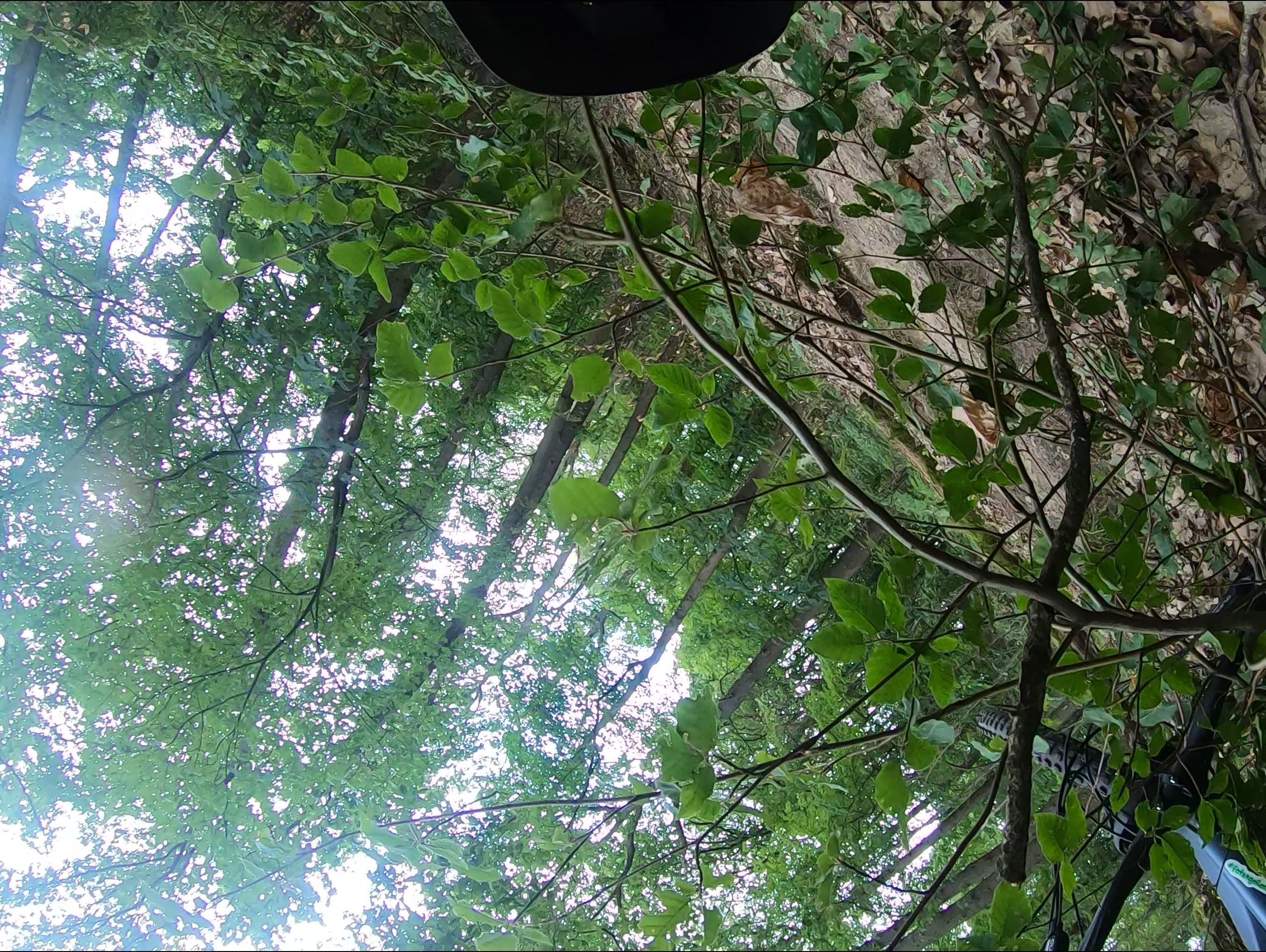 GX010075_Moment(3).jpg