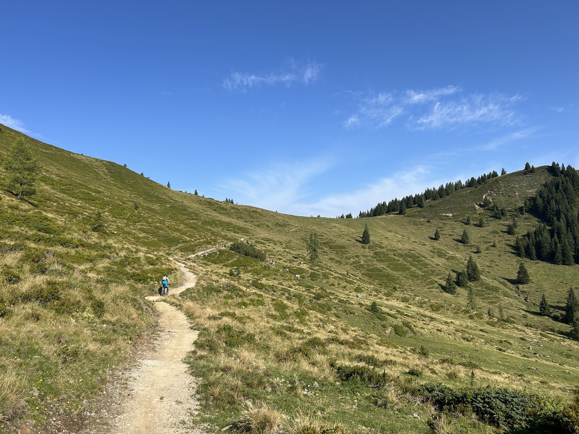 Hoch auf dem Penkkopf-Trail.jpg