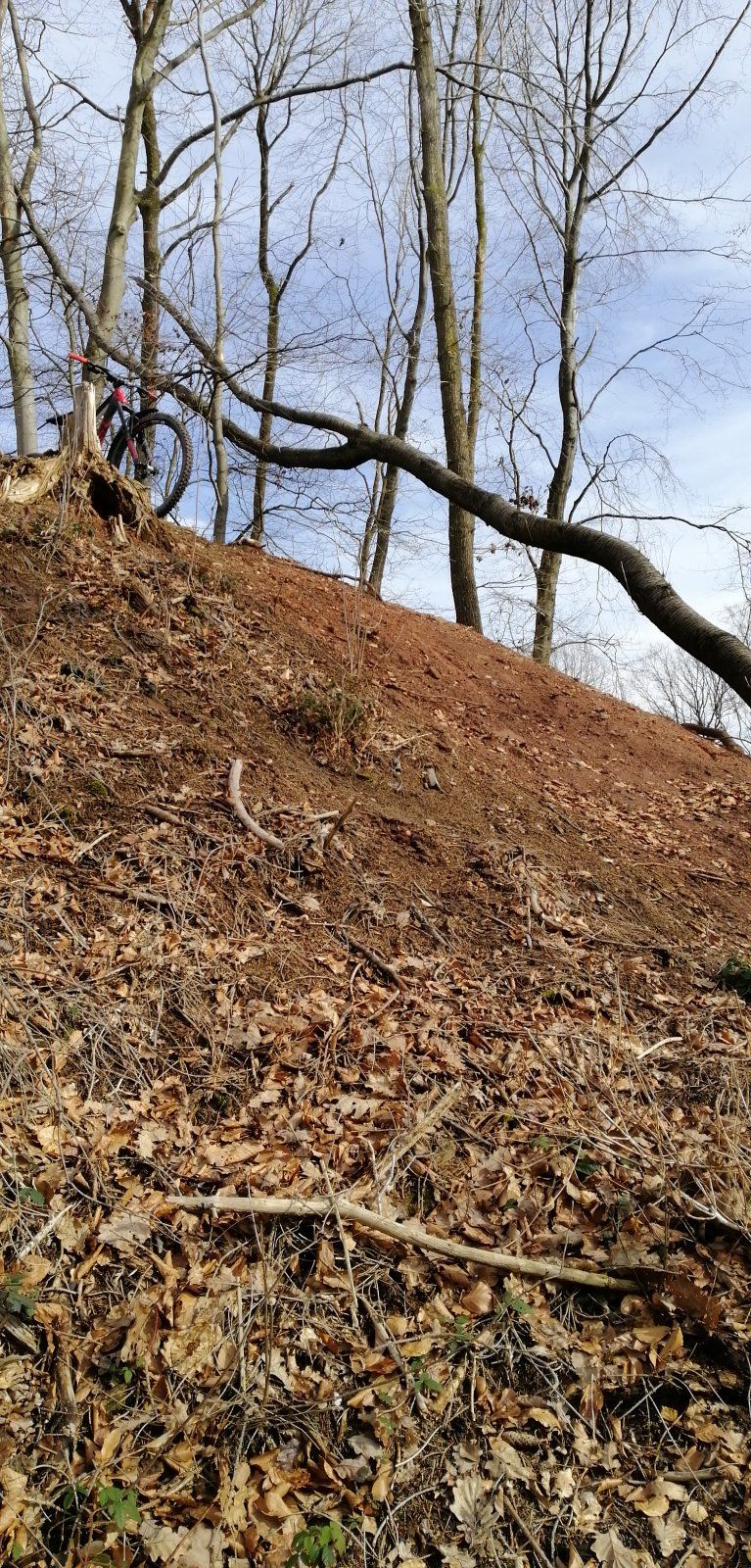 IMG-20200216-WA0009.jpeg