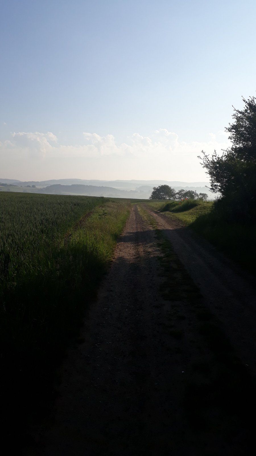 IMG-20200613-WA0013.jpeg