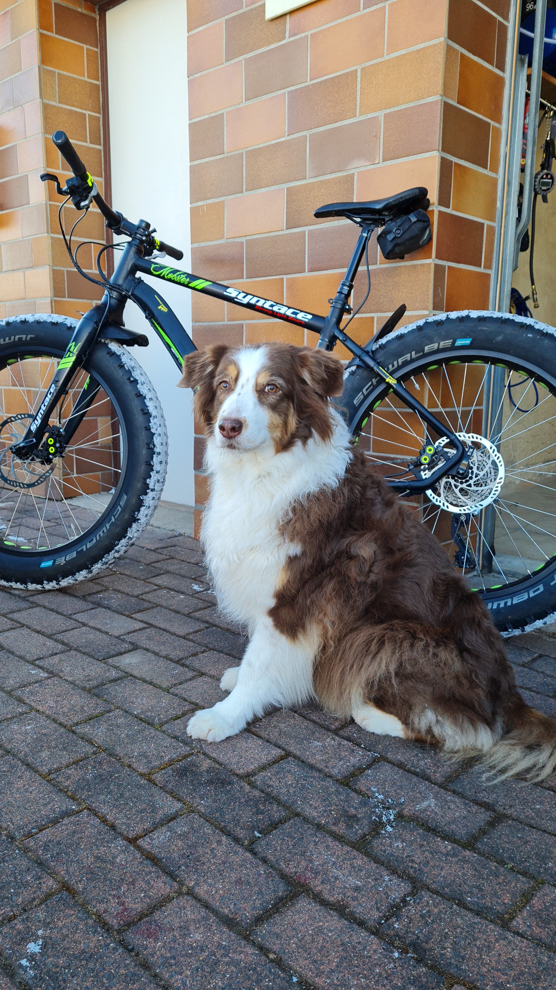 IMG-20210214-WA0058.jpeg