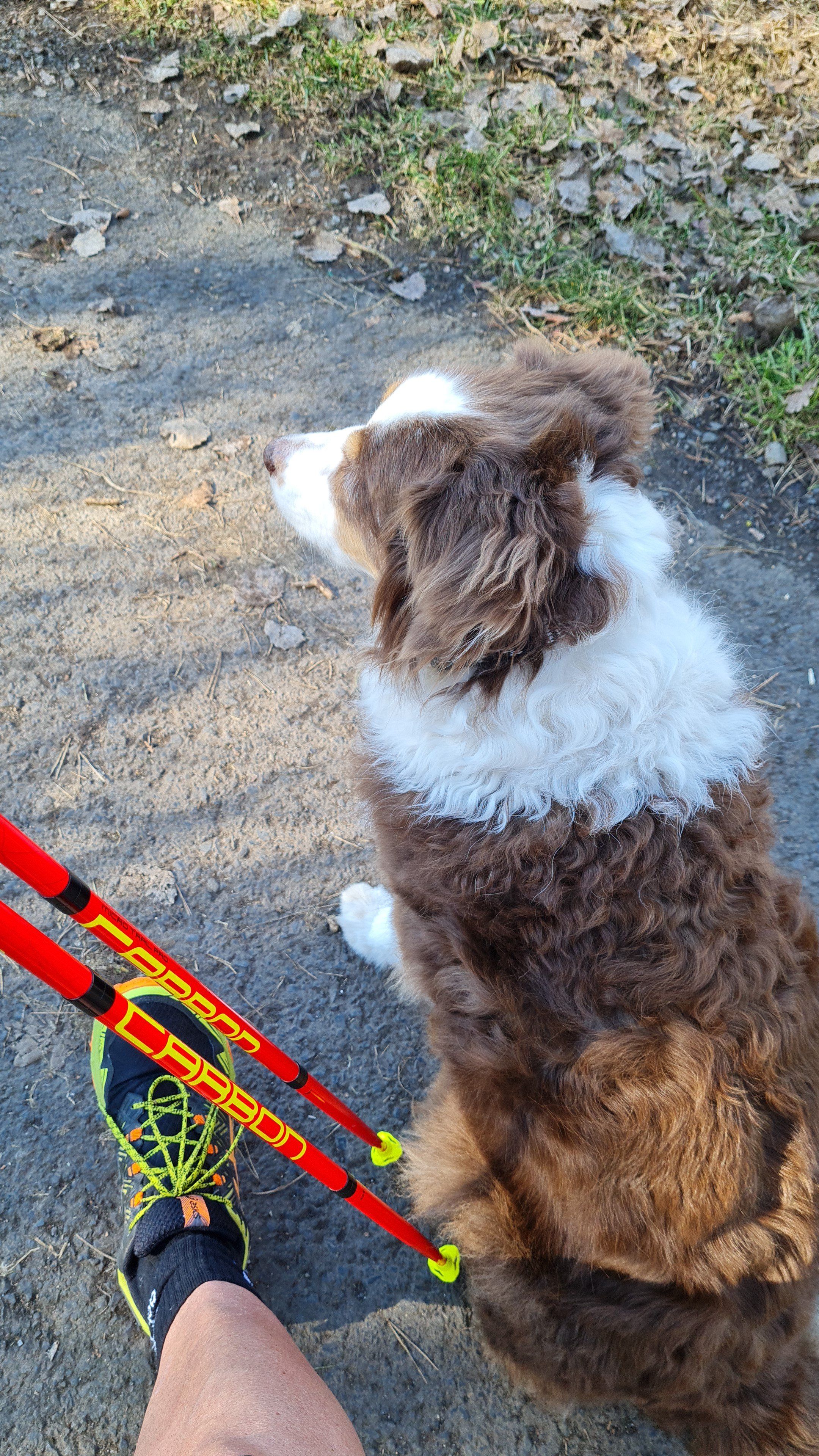 IMG-20210302-WA0013.jpeg
