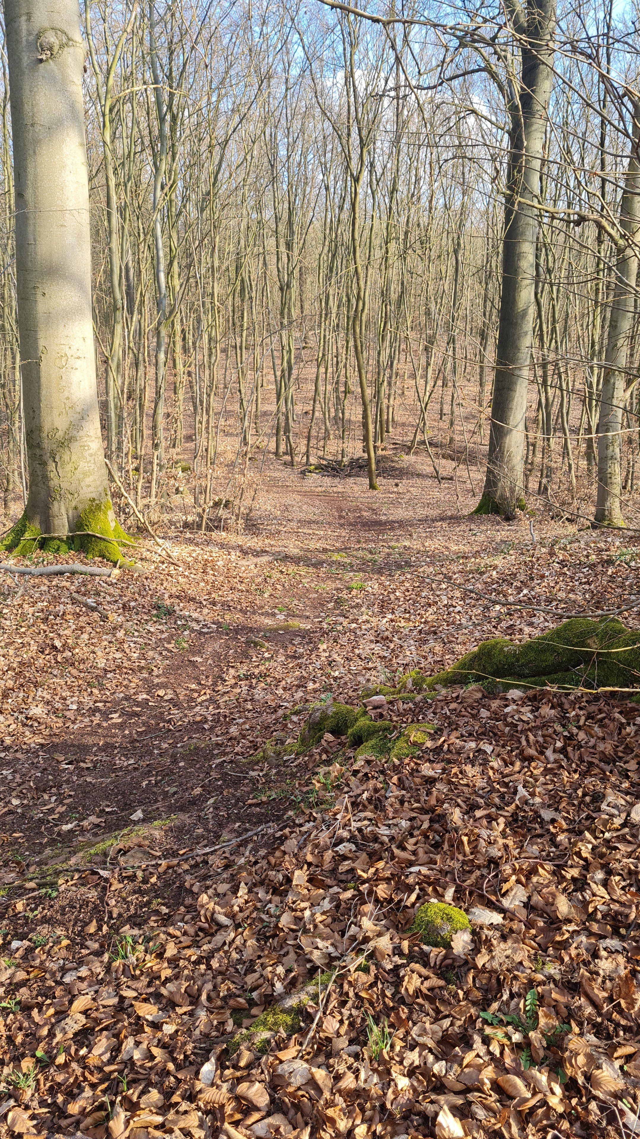 IMG-20210326-WA0025.jpeg